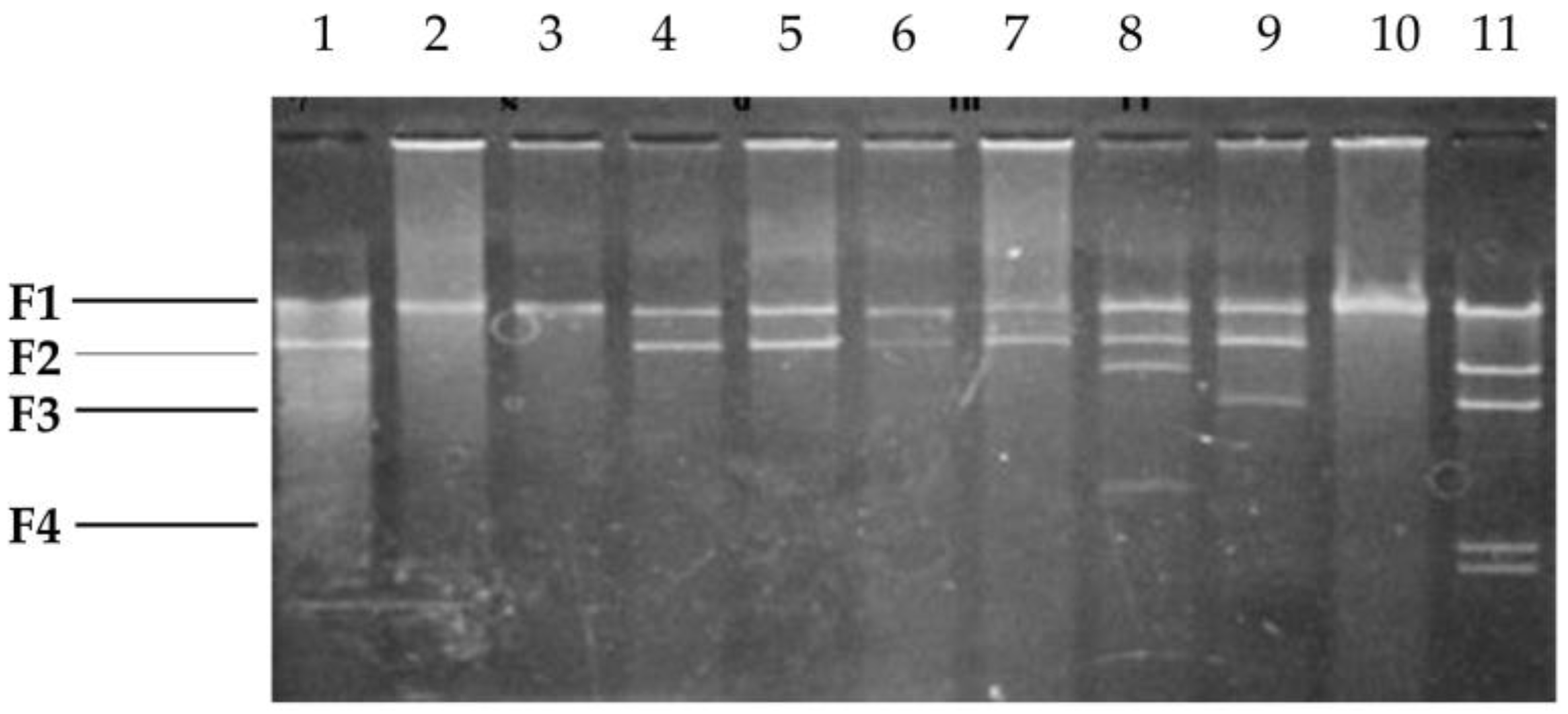 Pathogens 07 00041 g002 Pathogens 07 00041 g002