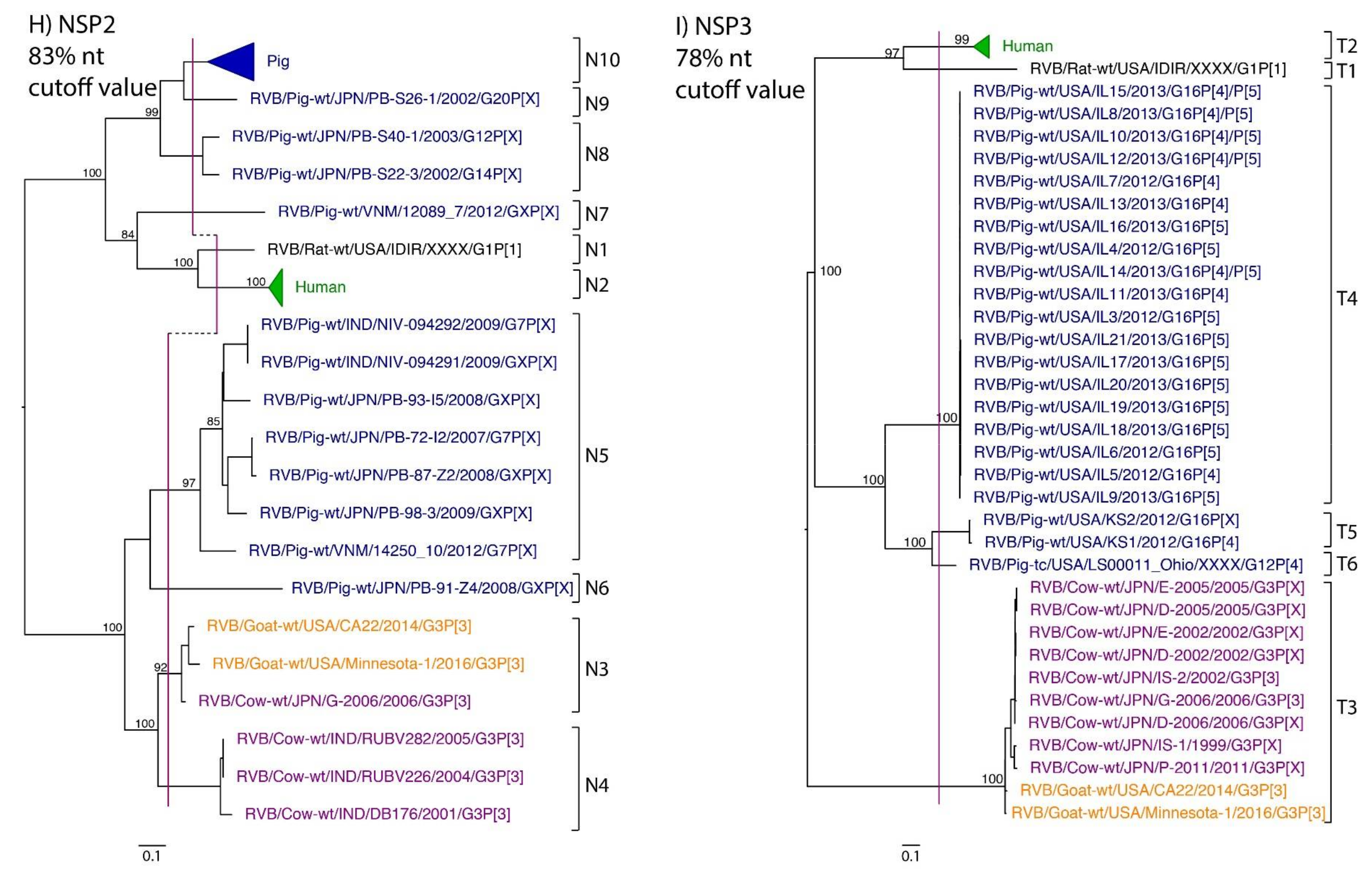 Pathogens 07 00044 g001e Pathogens 07 00044 g001e