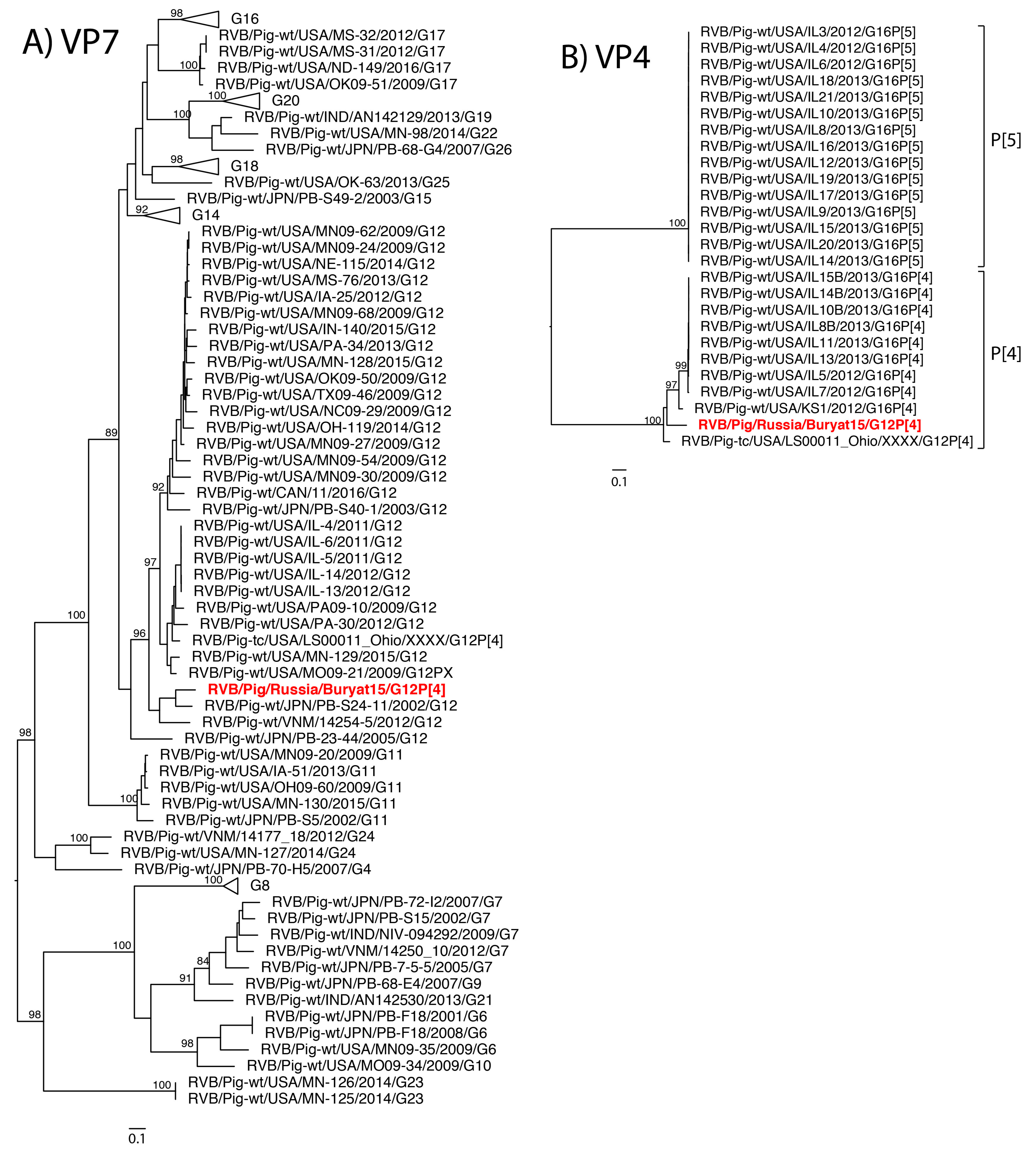 Pathogens 07 00046 g001a 550