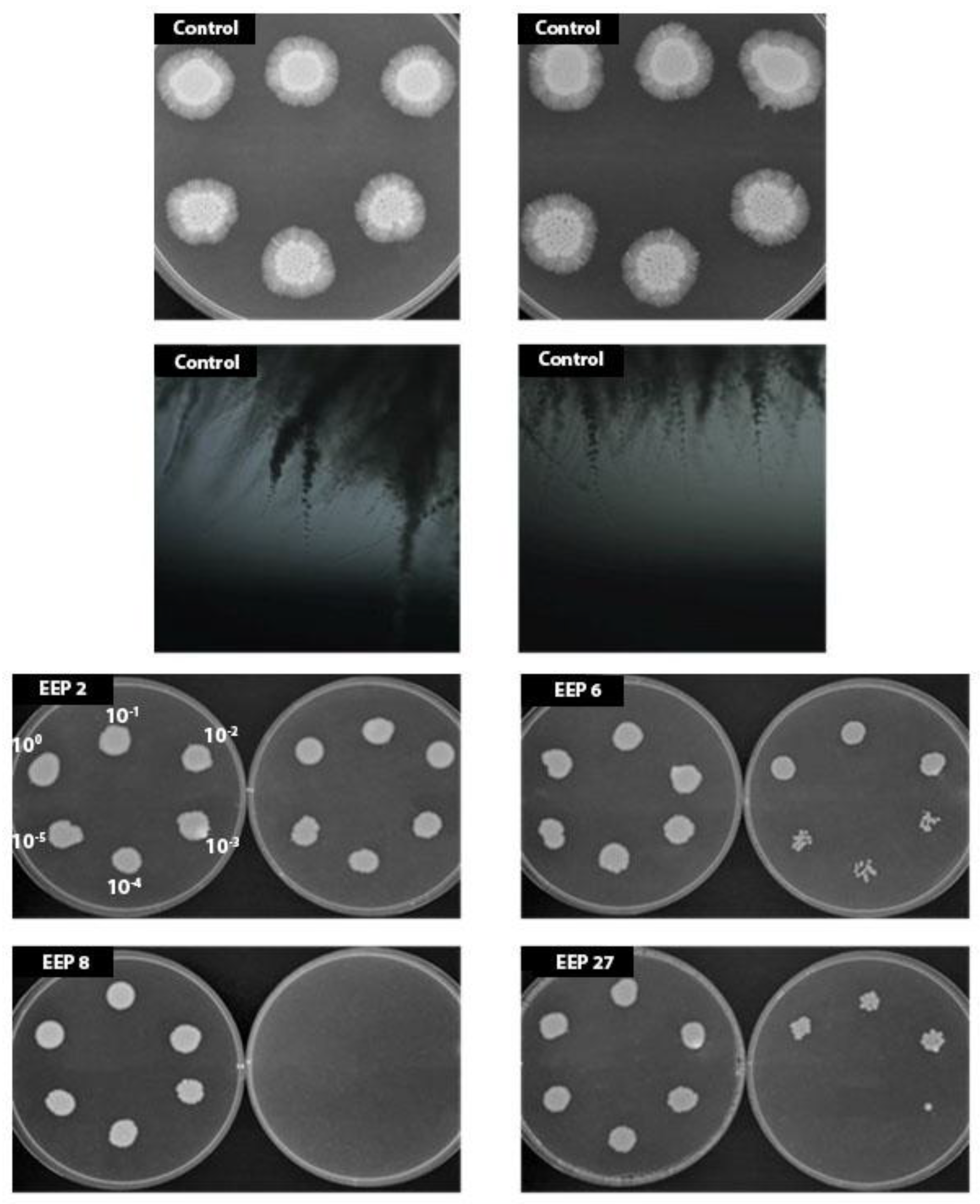 Pathogens 07 00056 g009 550