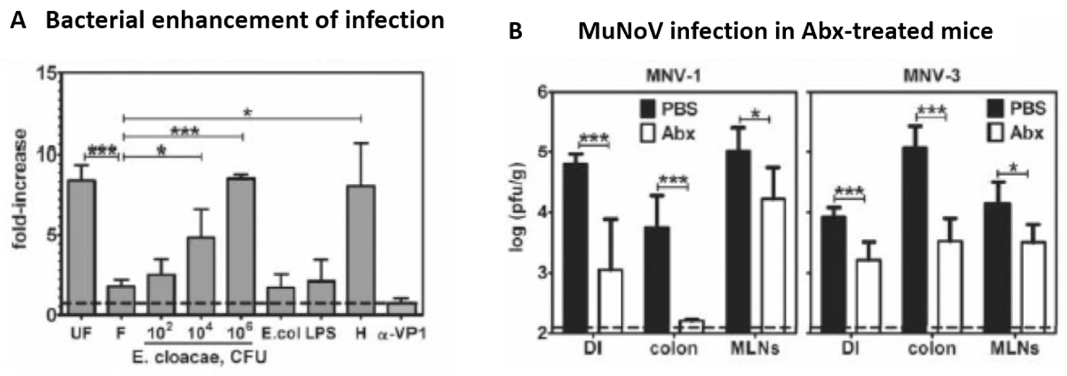 Pathogens 07 00057 g003