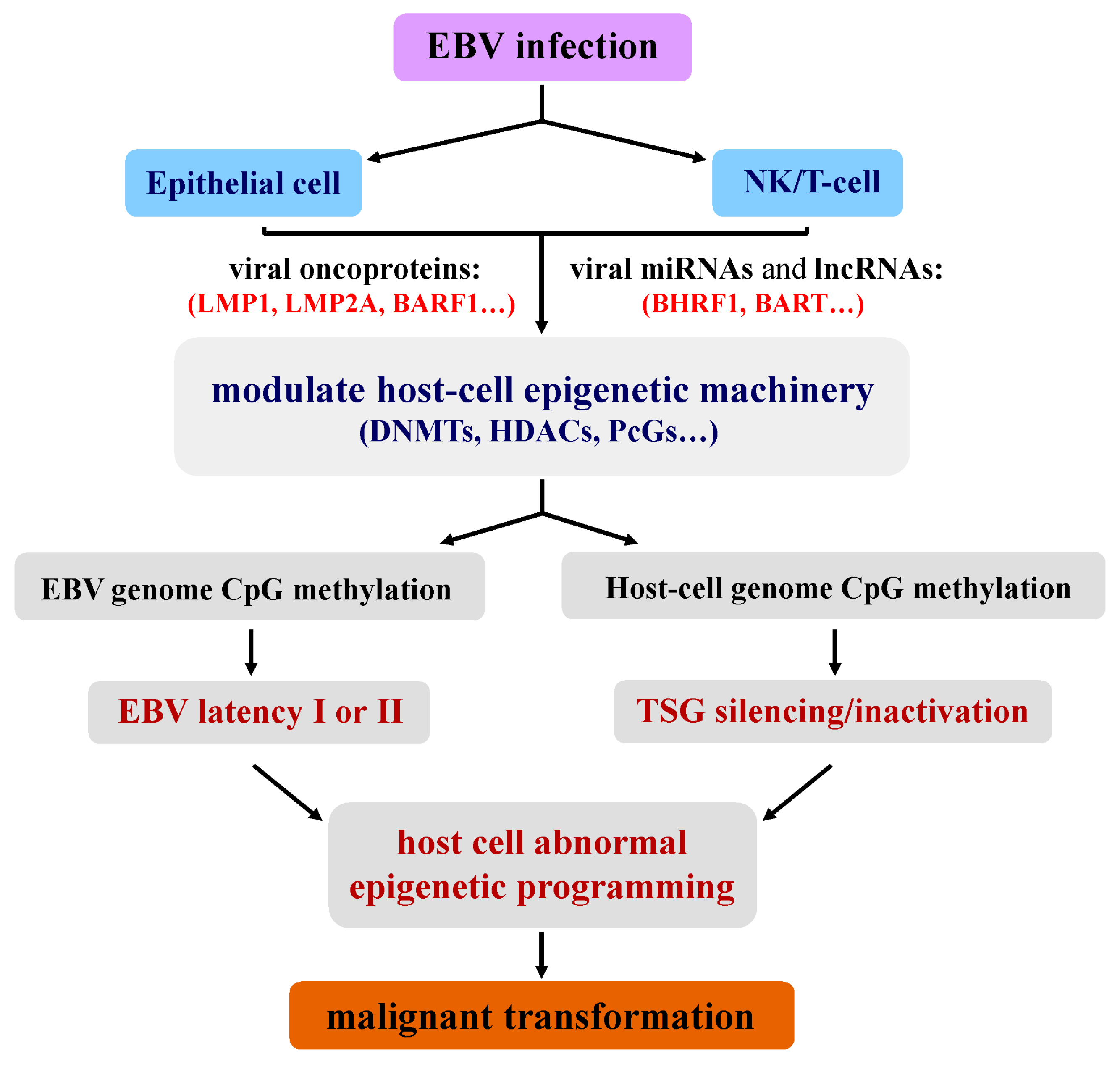 Pathogens 07 00063 g001