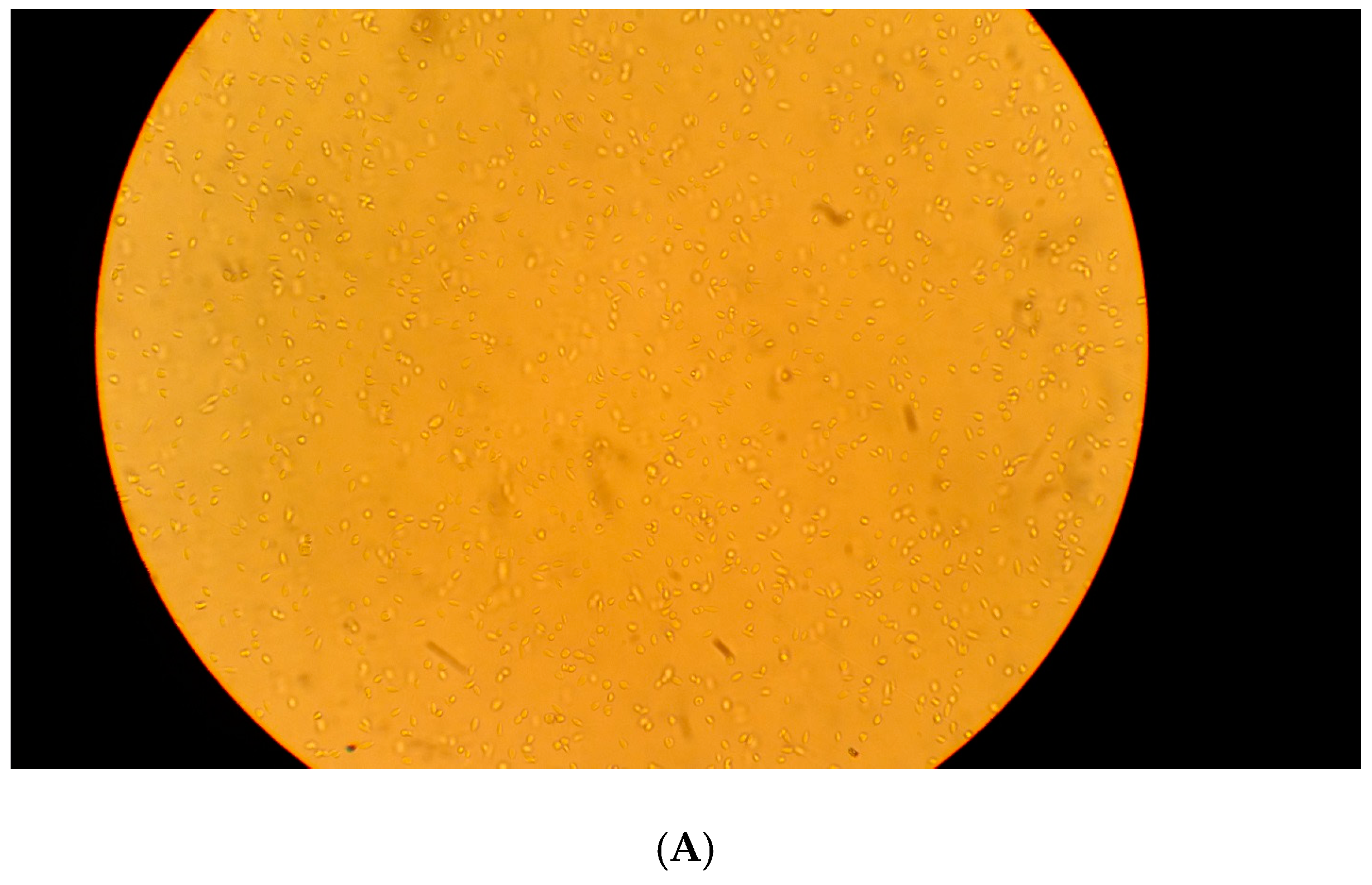 Pathogens 07 00077 g004a 550