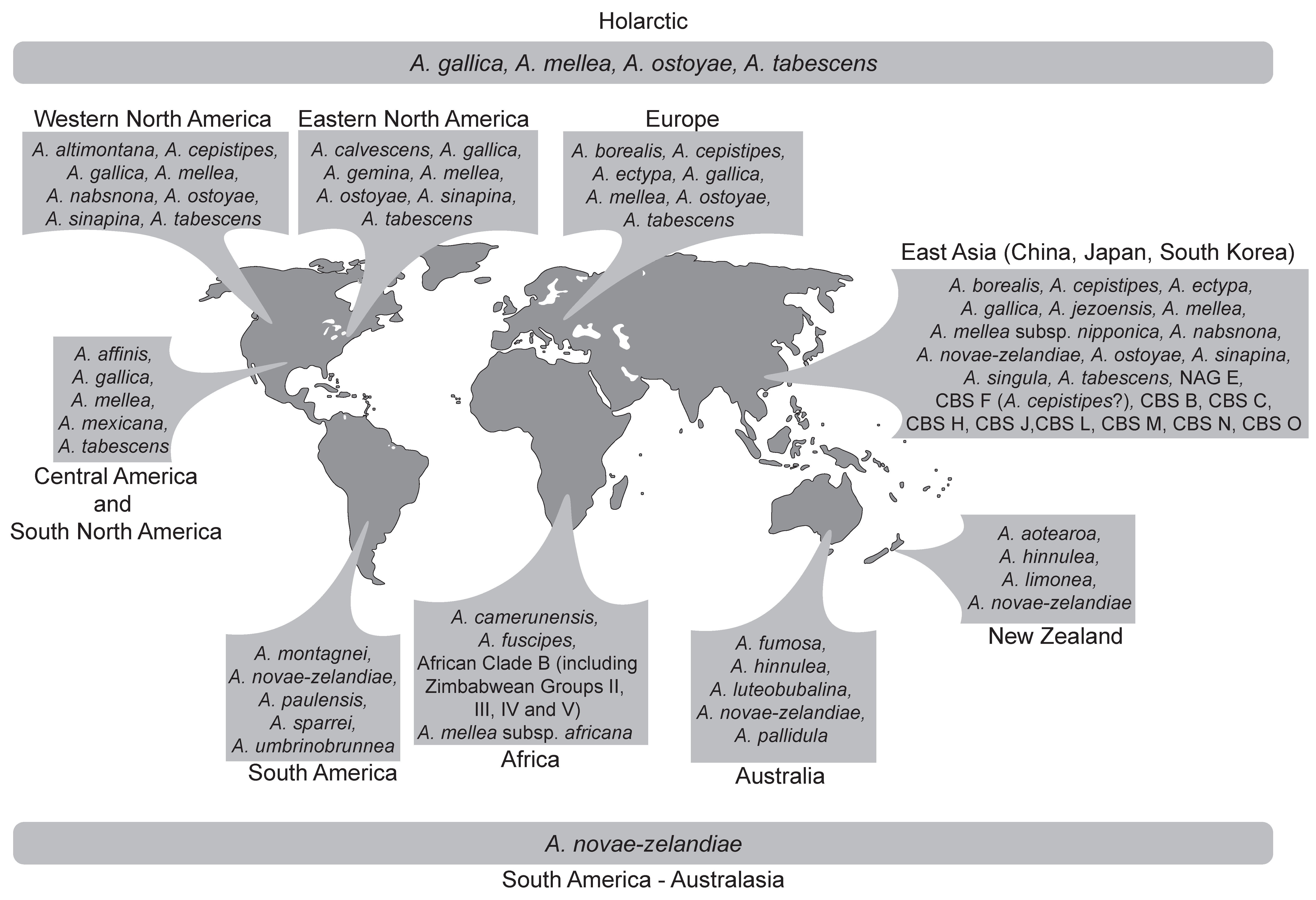 Pathogens 07 00083 g002 550