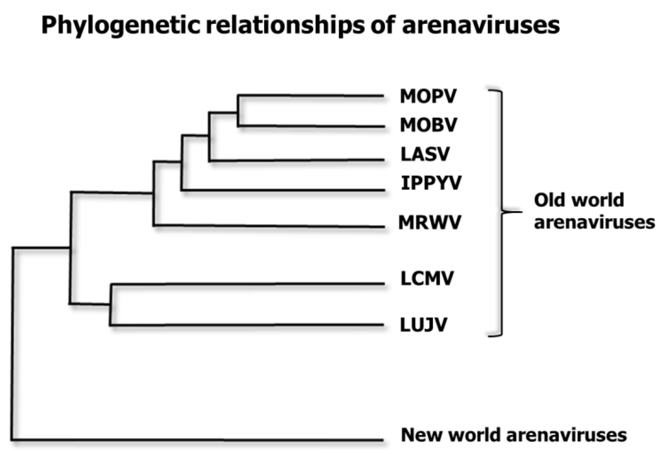 Pathogens 07 00084 g002