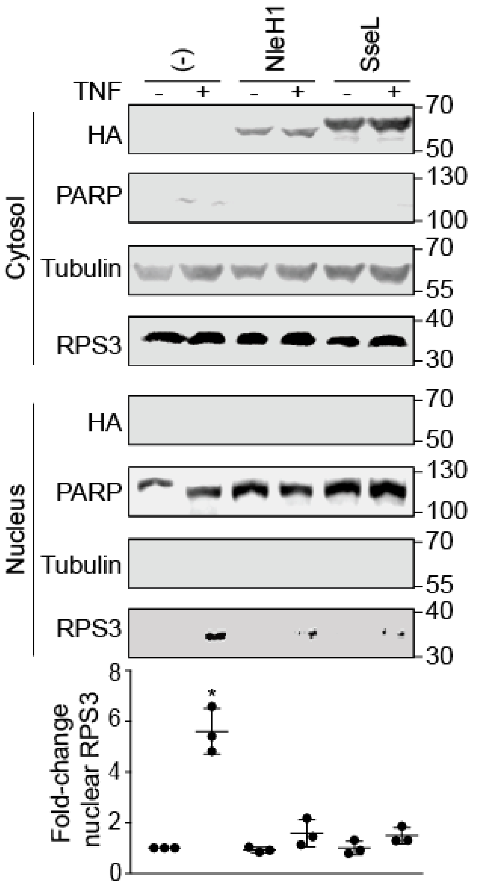 Pathogens 07 00086 g001 550