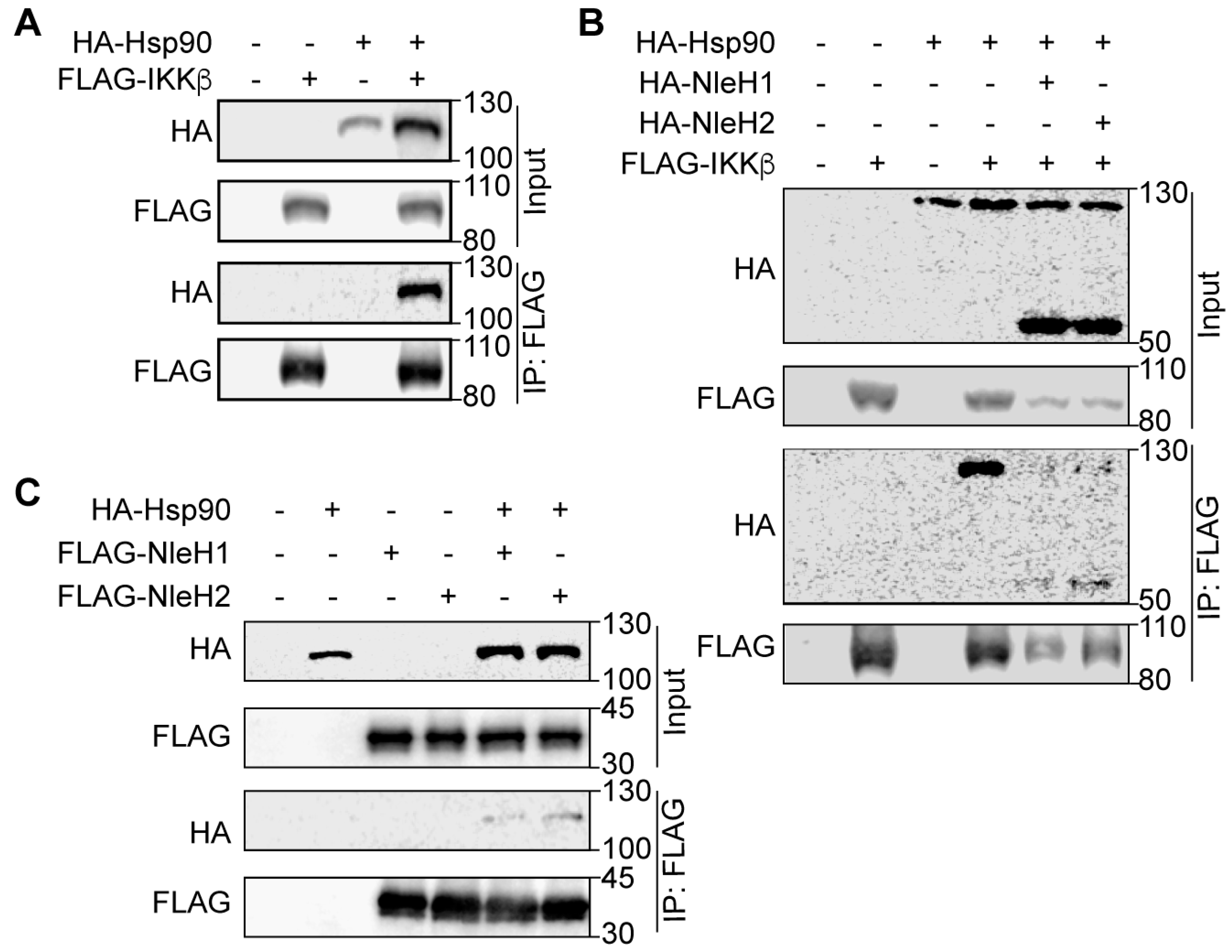 Pathogens 07 00087 g002