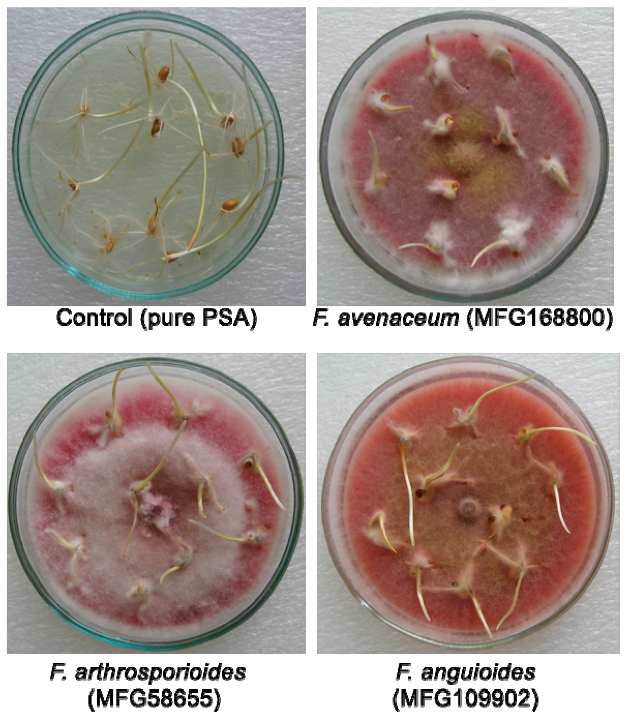Pathogens 07 00094 g002