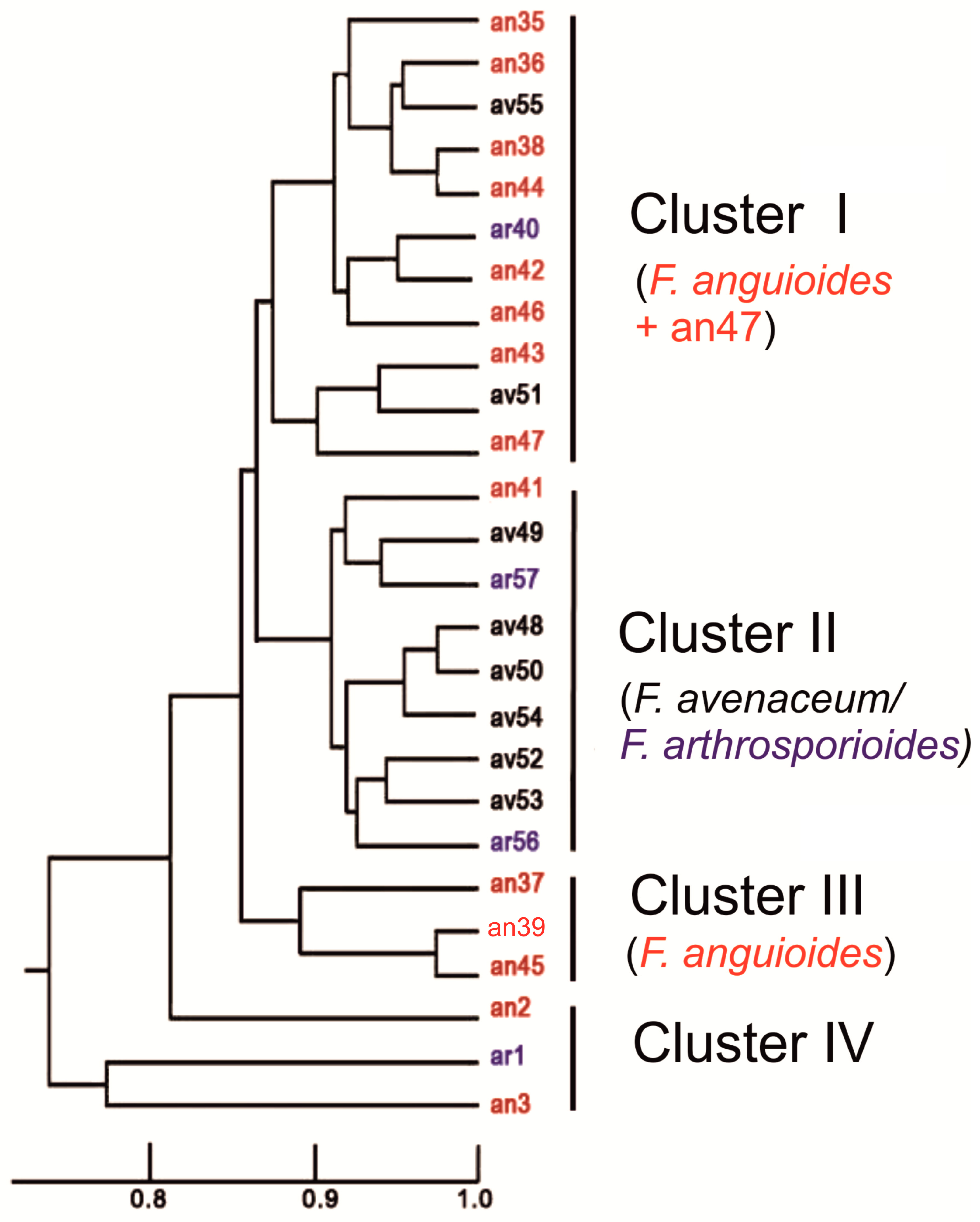 Pathogens 07 00094 g004