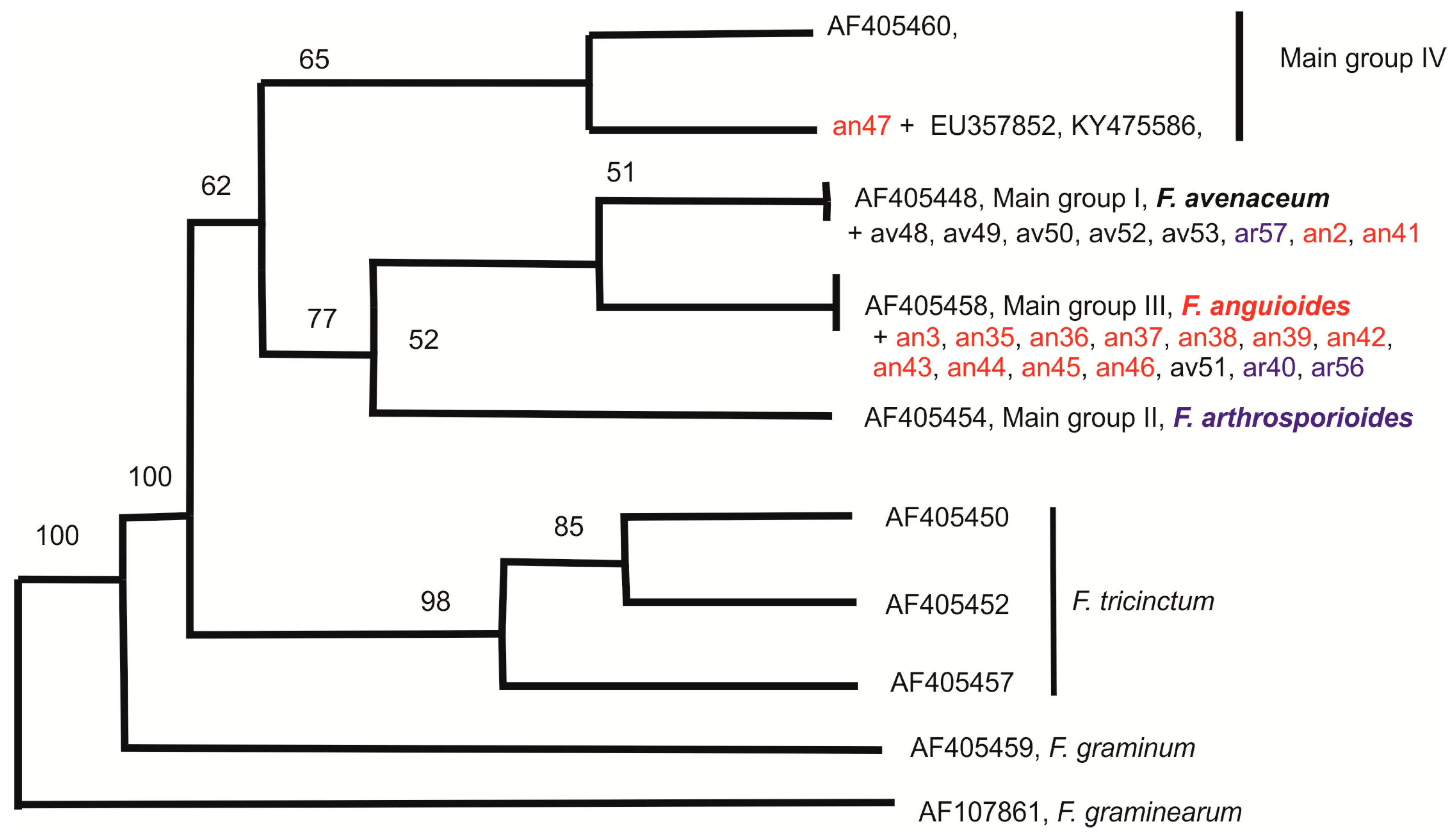 Pathogens 07 00094 g005