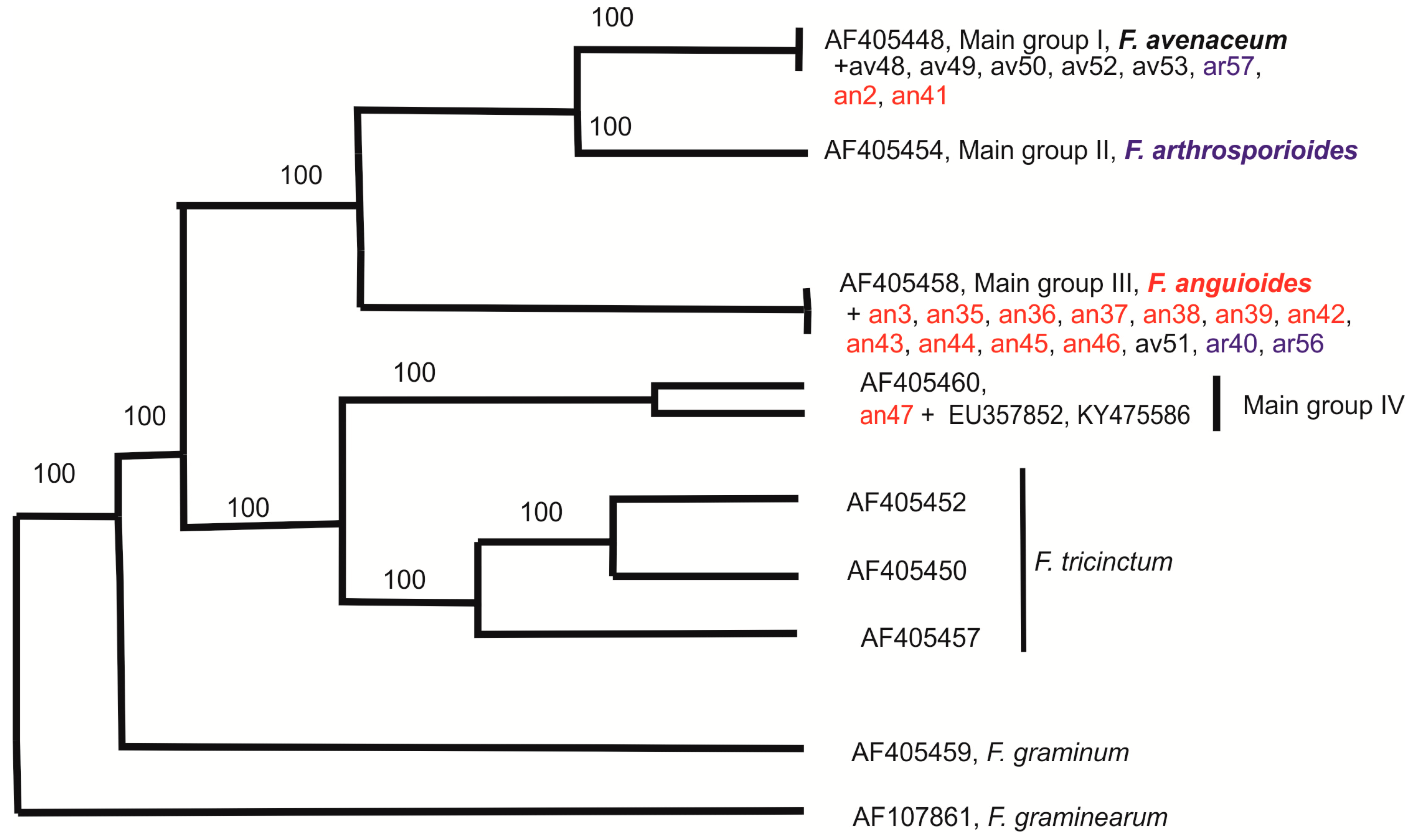 Pathogens 07 00094 g006