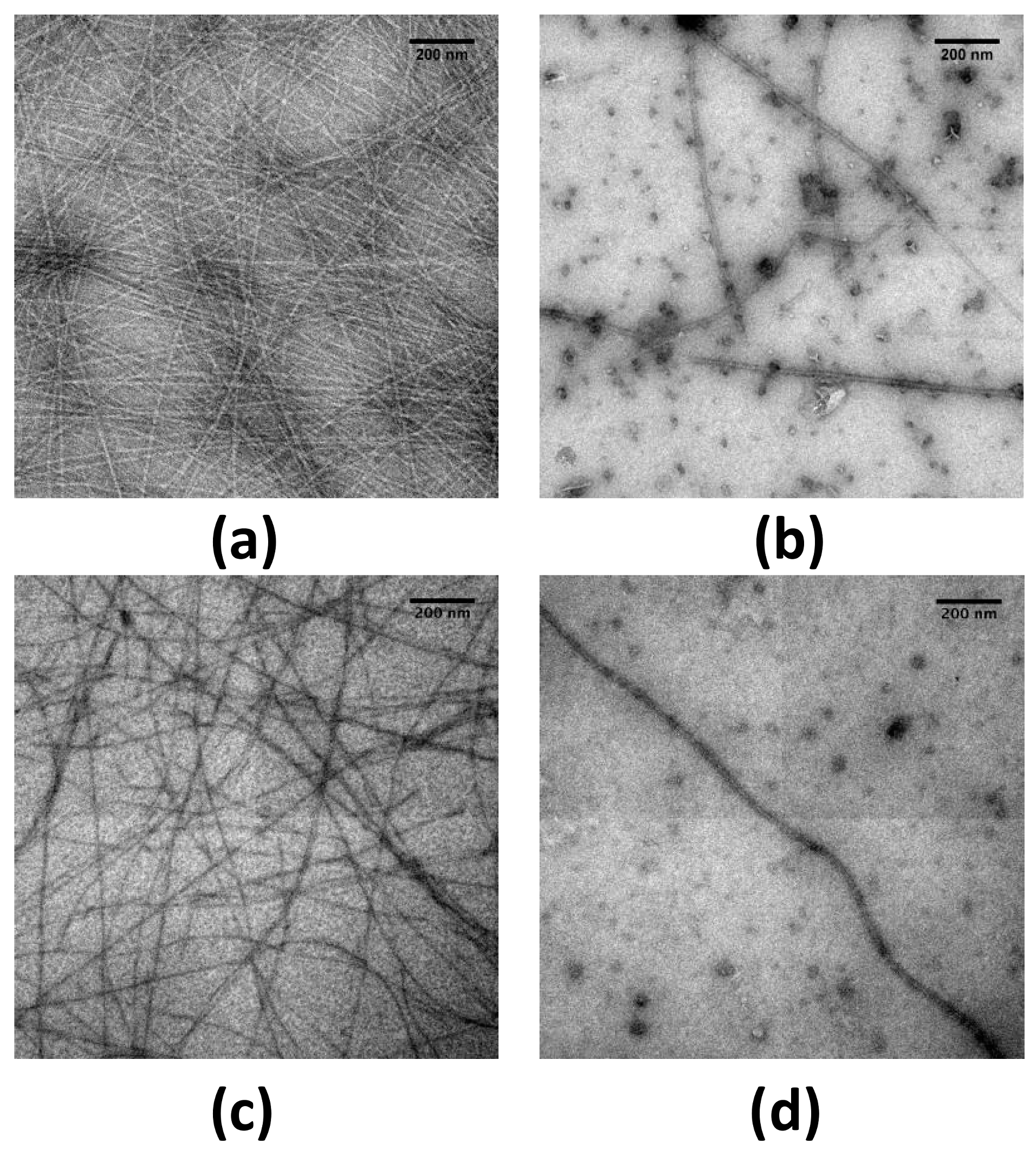 Pathogens 07 00095 g002 Pathogens 07 00095 g002