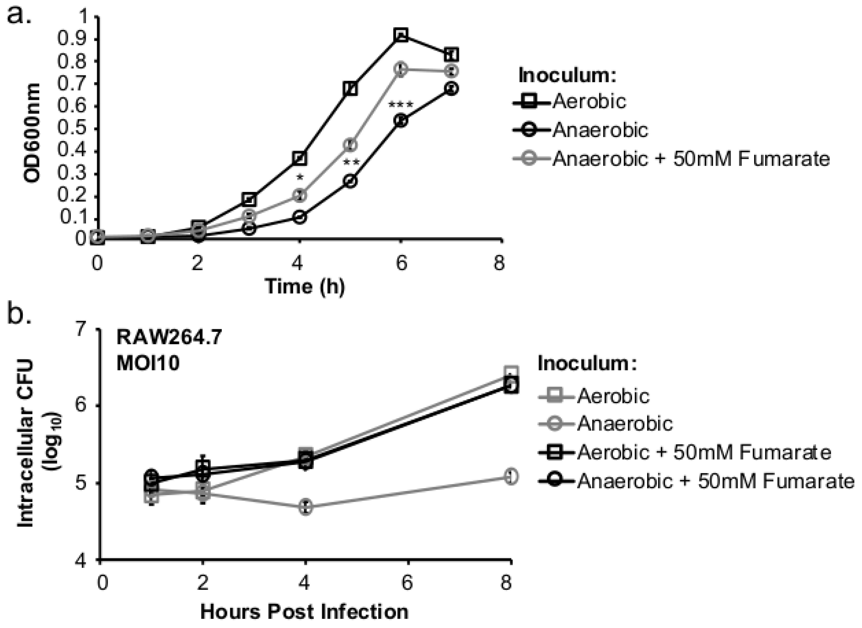 Pathogens 07 00096 g002