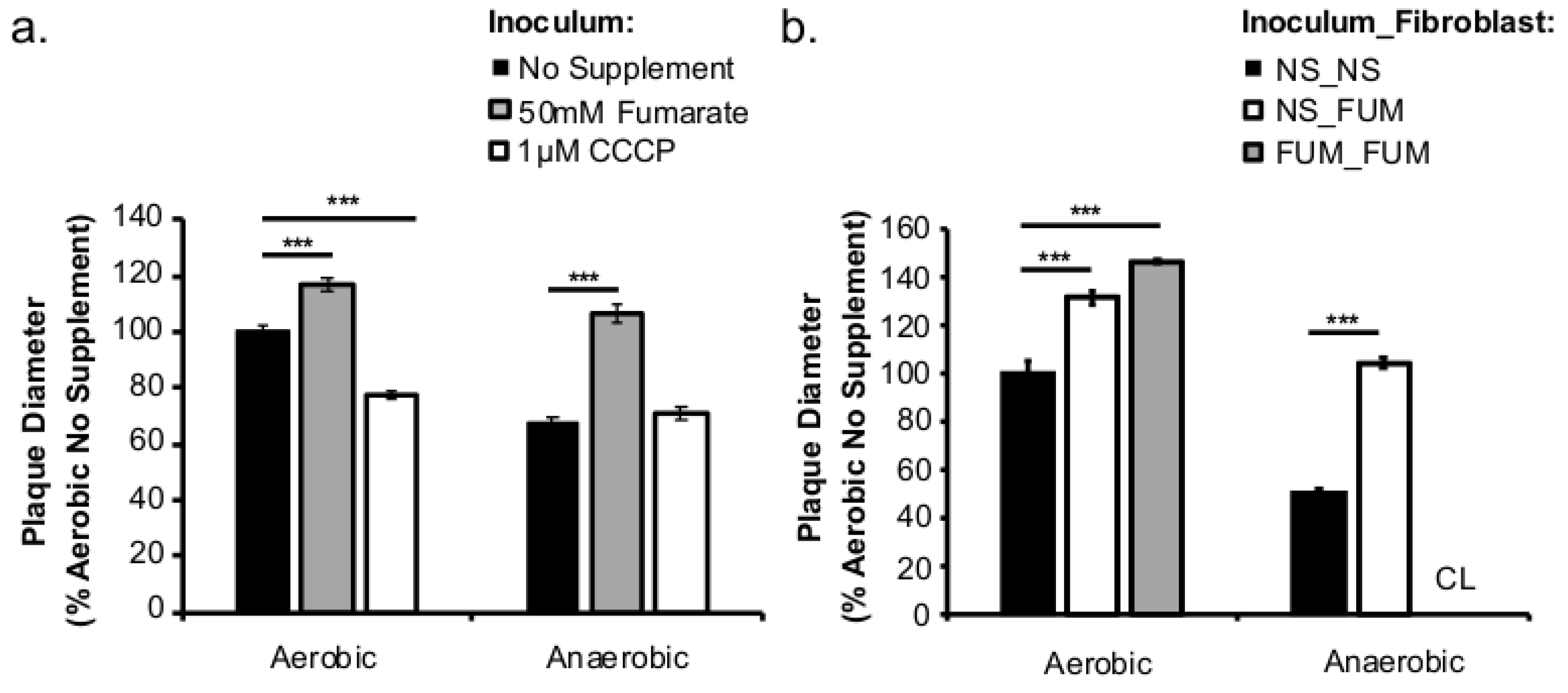 Pathogens 07 00096 g005