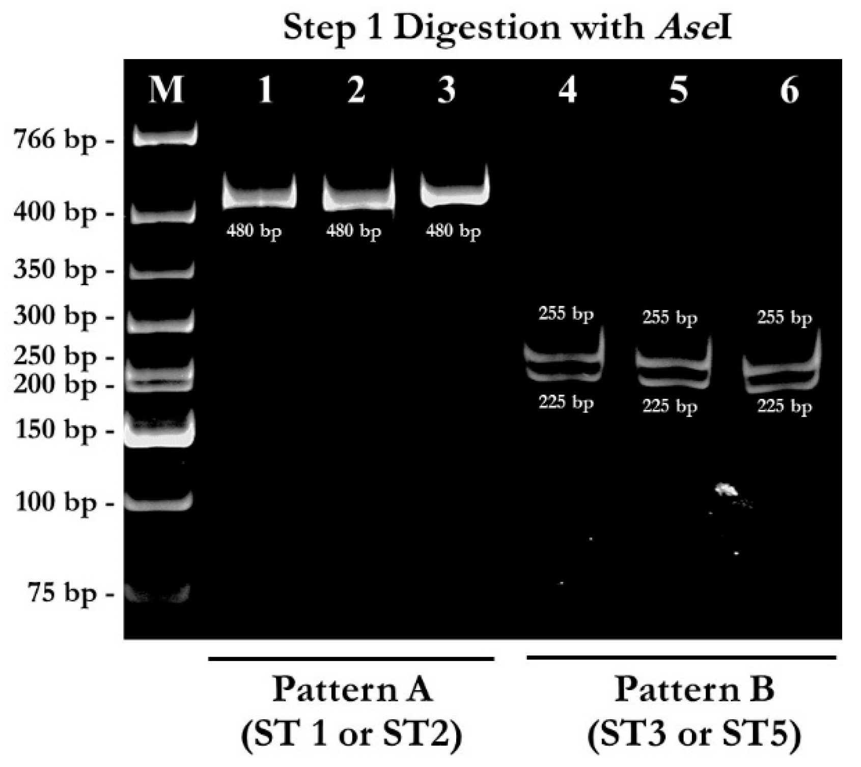 Pathogens 08 00038 g003