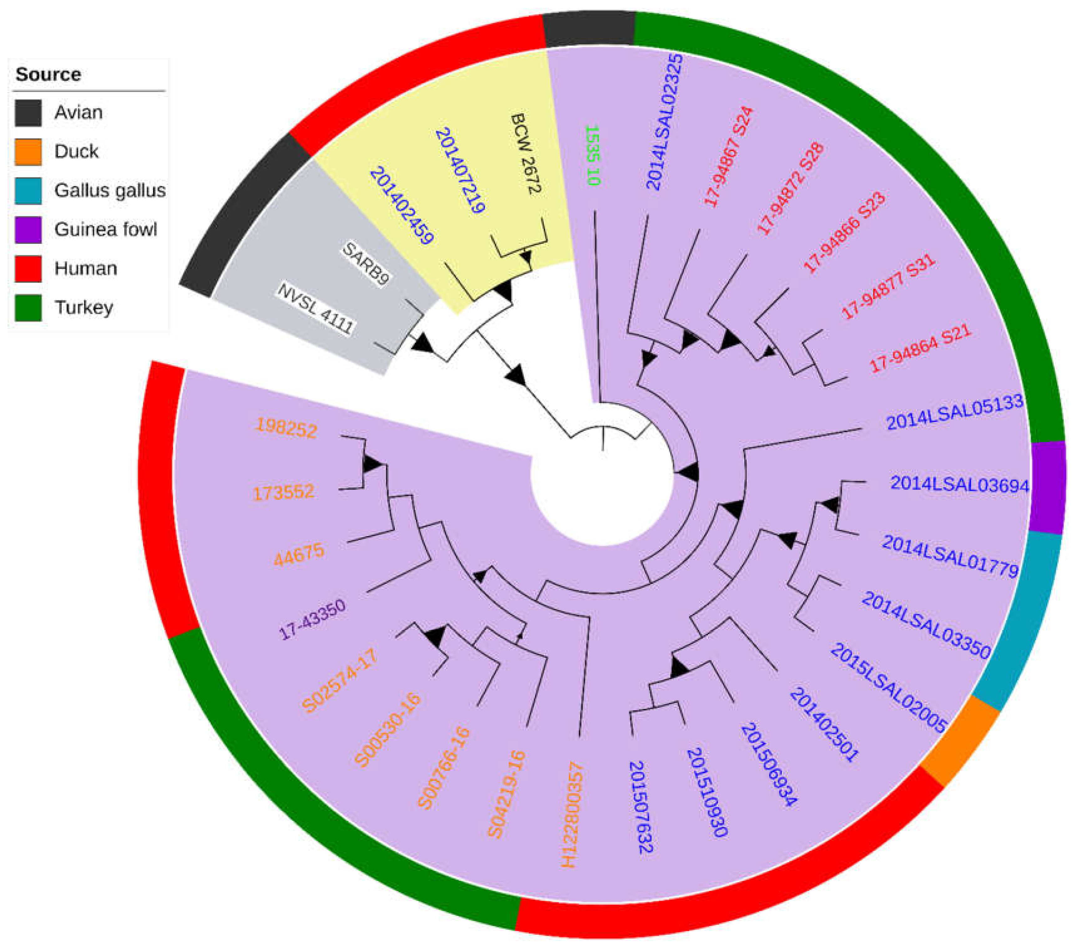 Pathogens 08 00046 g001 550