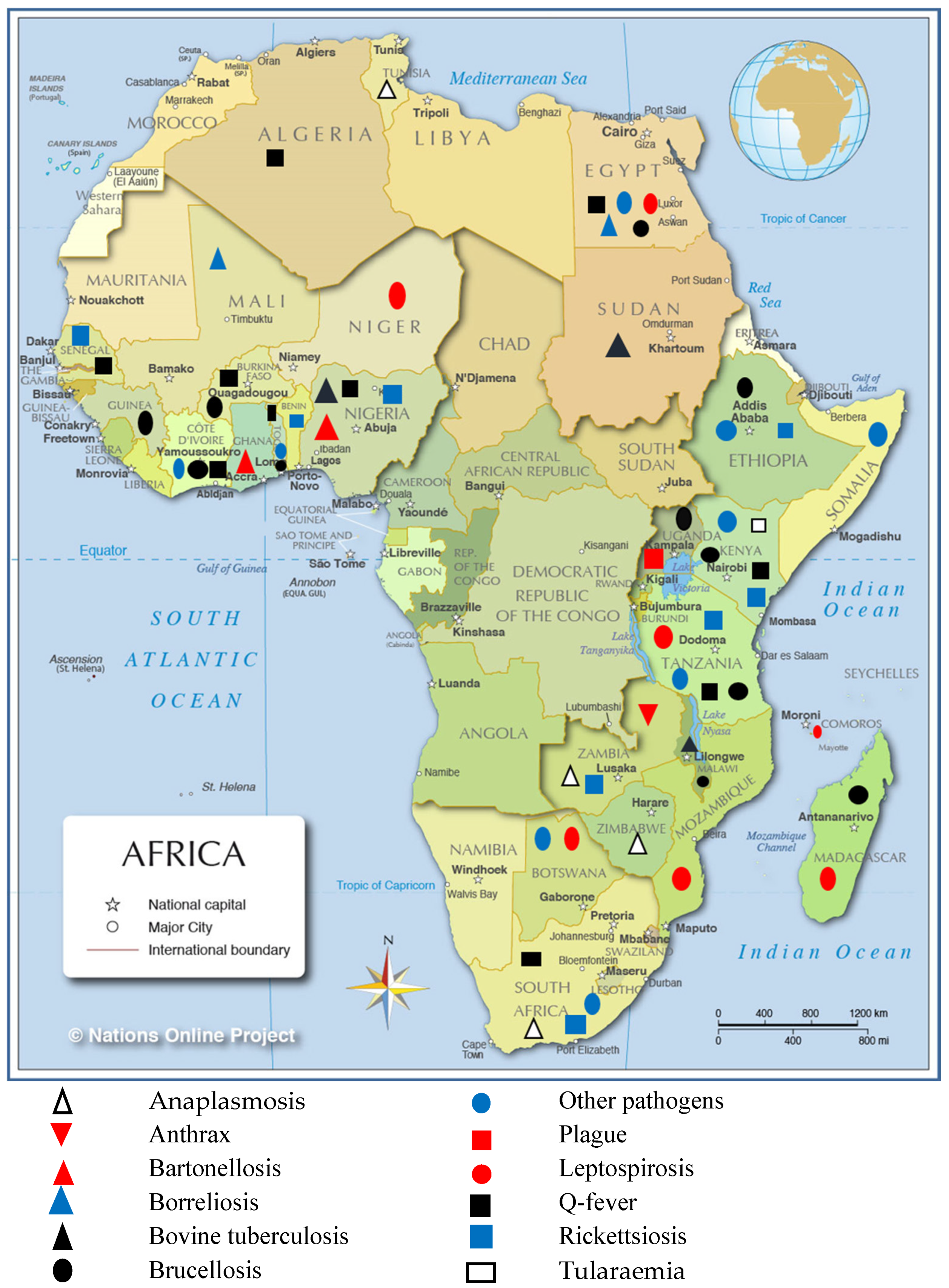 Pathogens 08 00050 g003