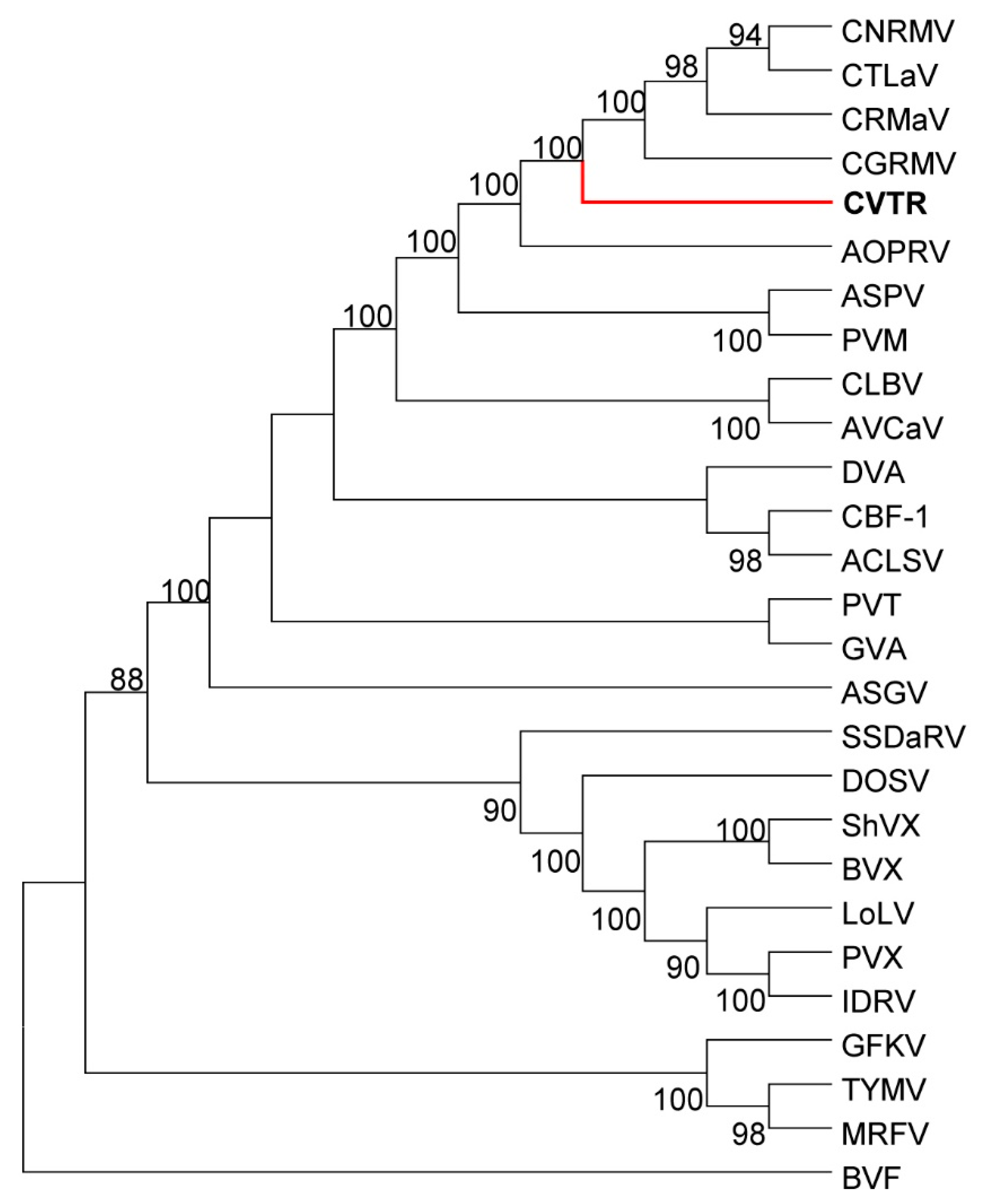 Pathogens 08 00057 g003 Pathogens 08 00057 g003