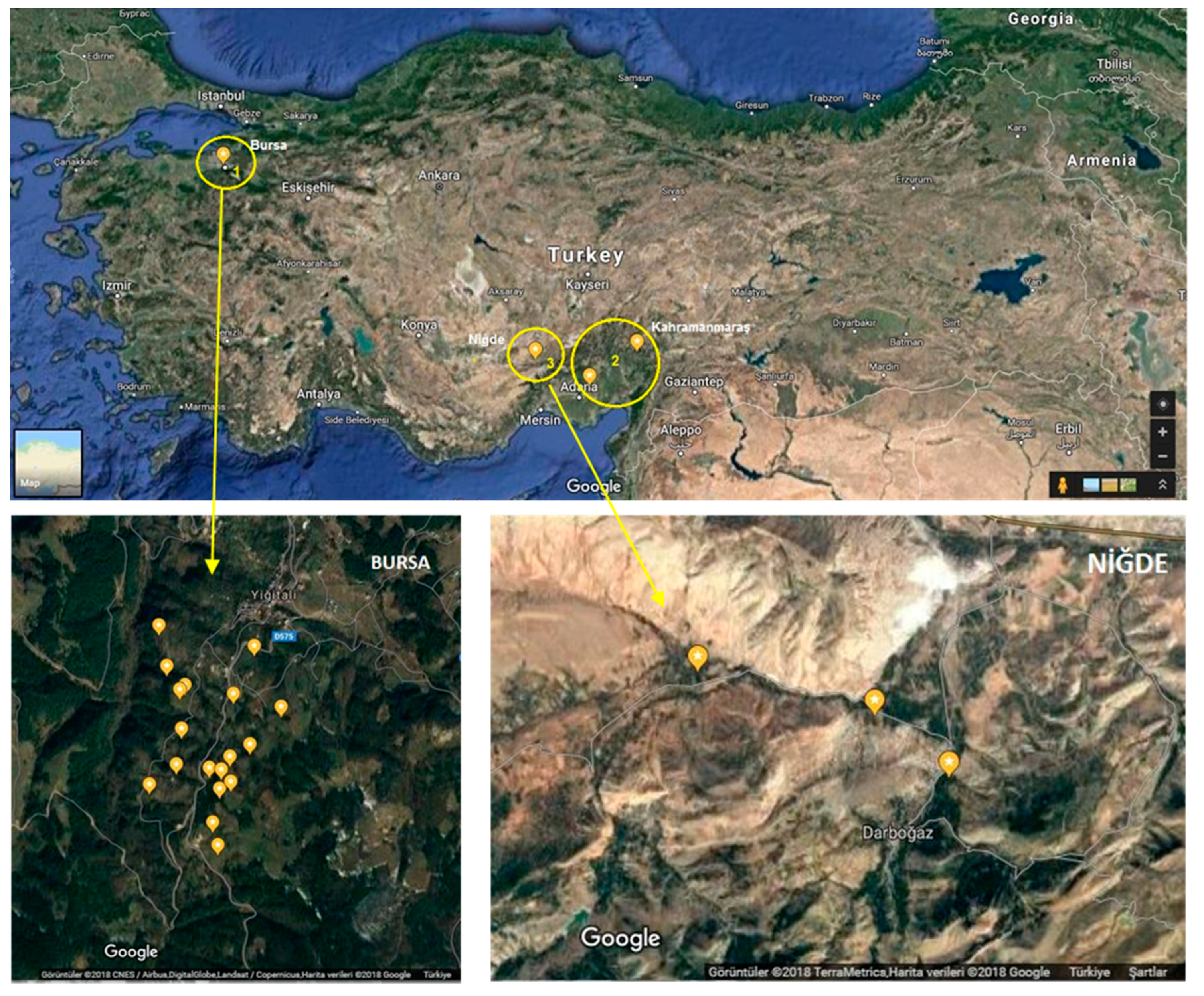 Pathogens 08 00057 g005 Pathogens 08 00057 g005