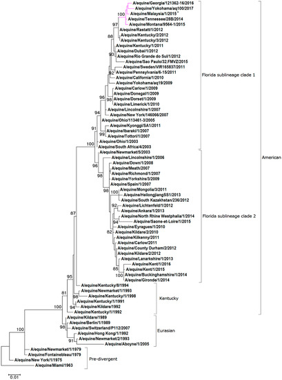 Pathogens Free Full Text Whole Genome Sequencing Of The First H3n8 Equine Influenza Virus Identified In Malaysia Html