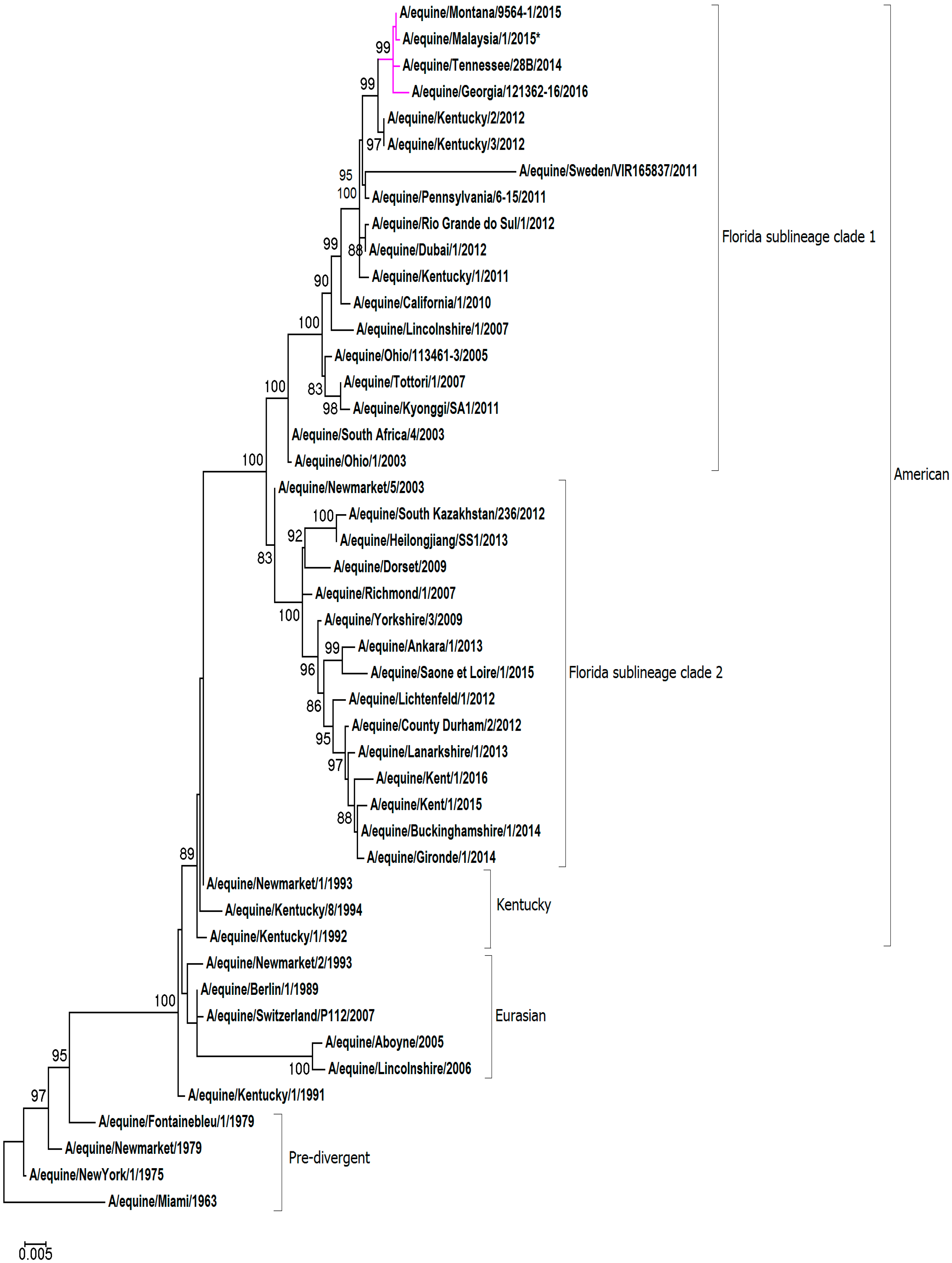 Pathogens 08 00062 g002