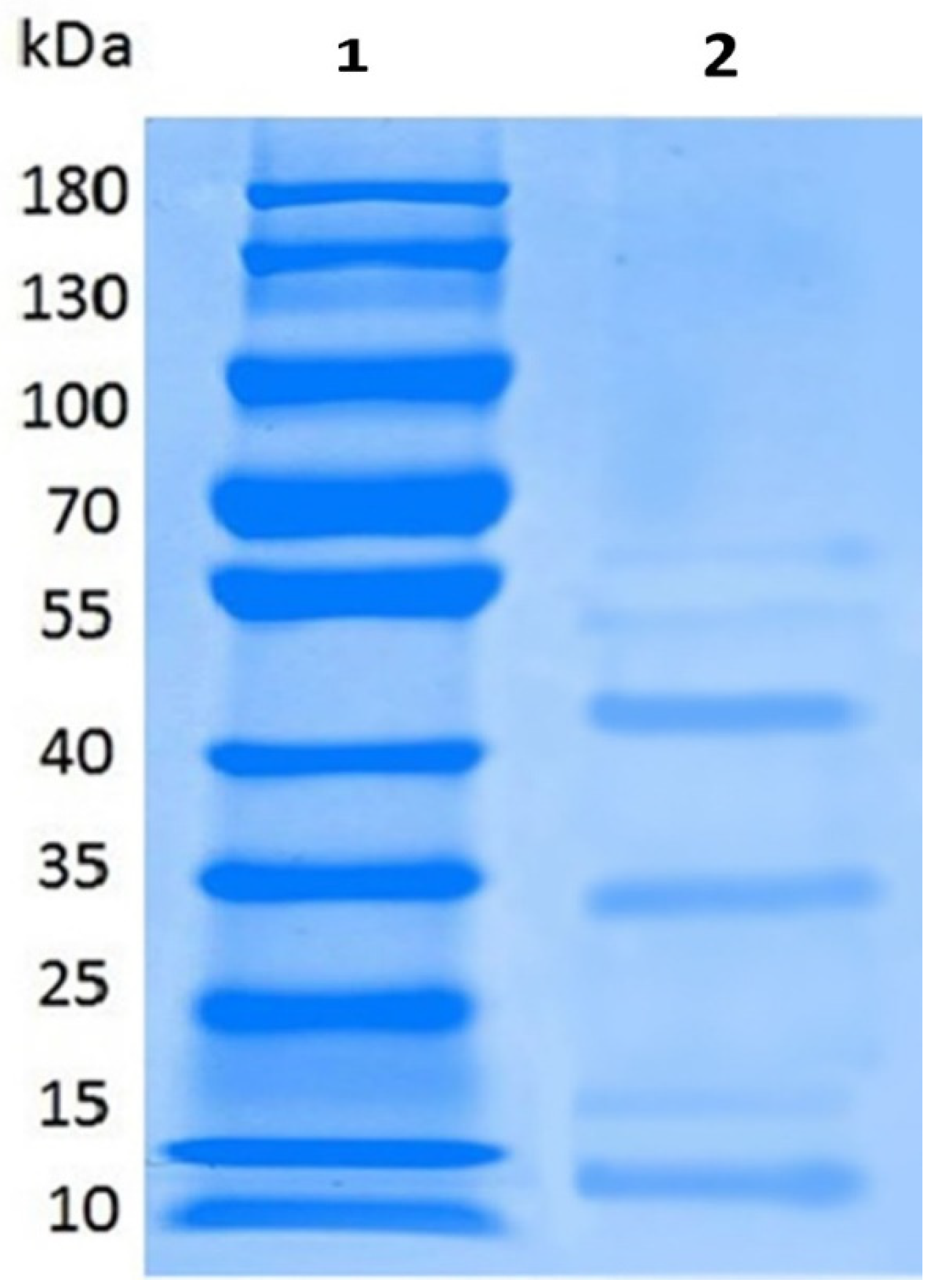 Pathogens 08 00071 g003