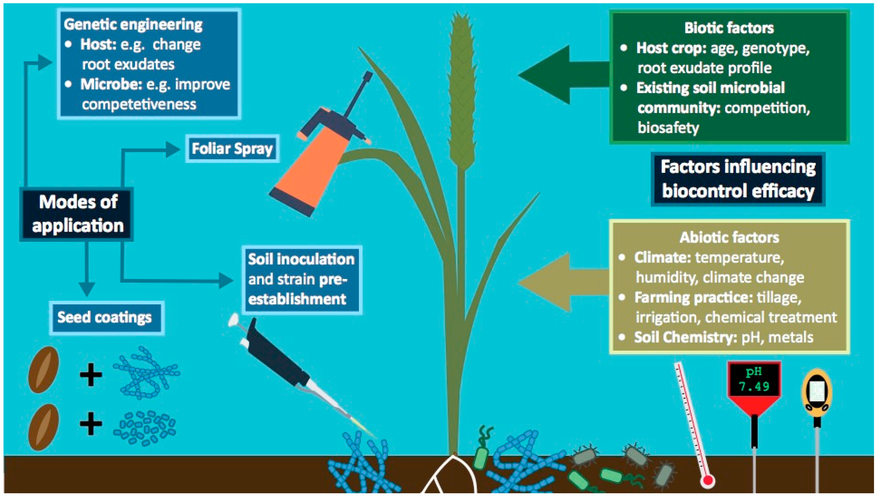 Pathogens Free Full Text Biocontrol Of Cereal Crop Diseases Using Streptomycetes Html