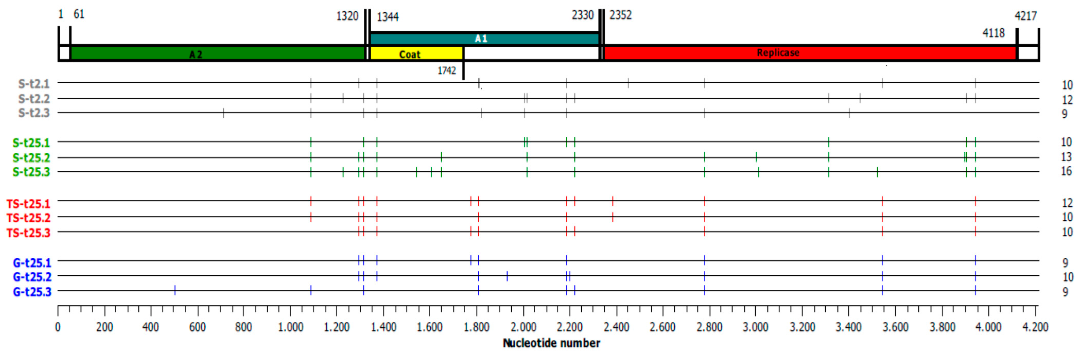 Pathogens 08 00080 g004