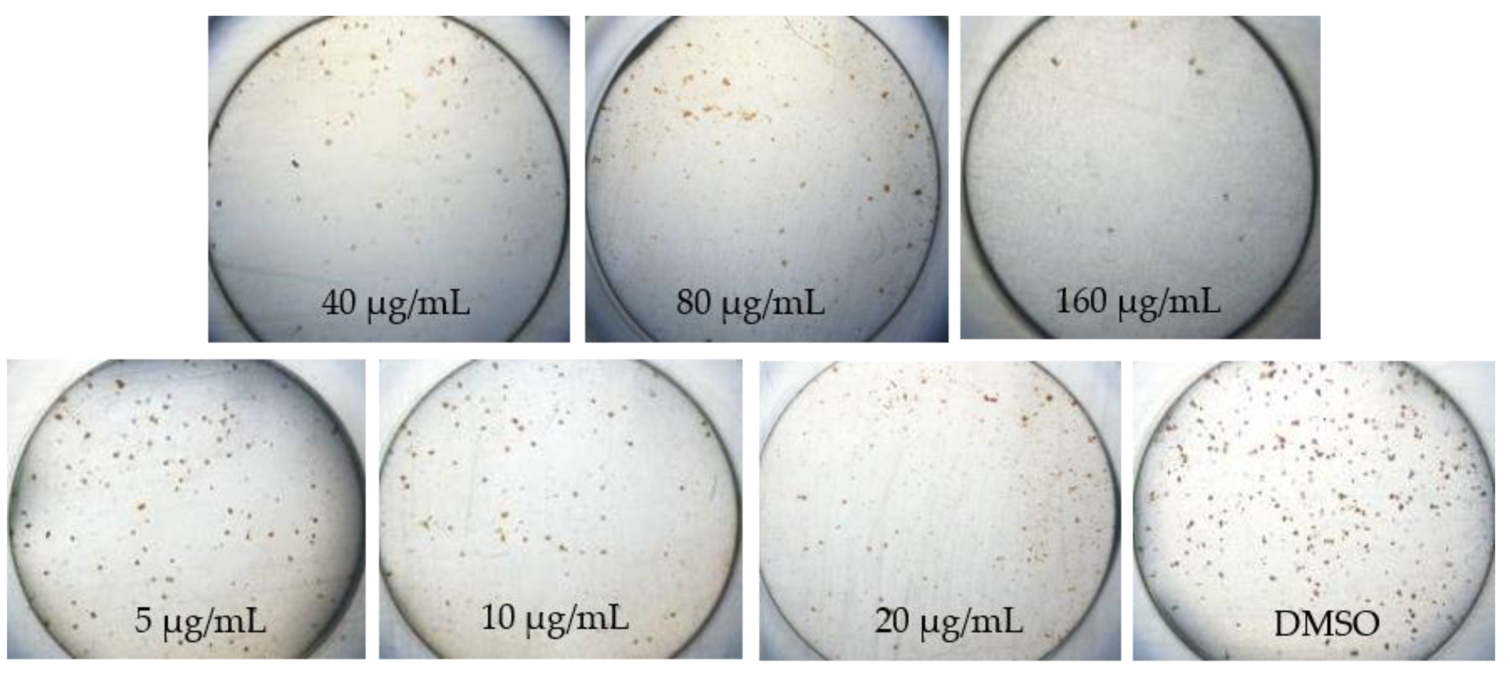 Pathogens 08 00085 g001