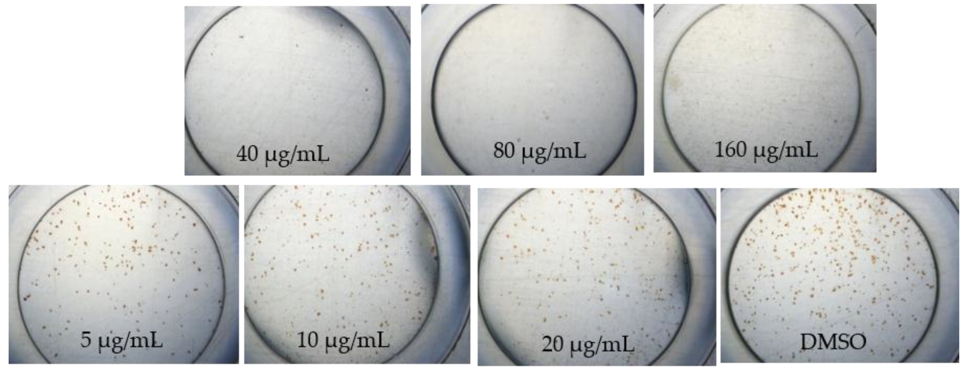 Pathogens 08 00085 g003
