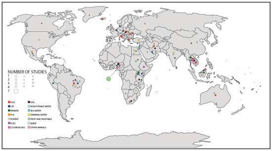 strongyloidiasis geohelminthiasis
