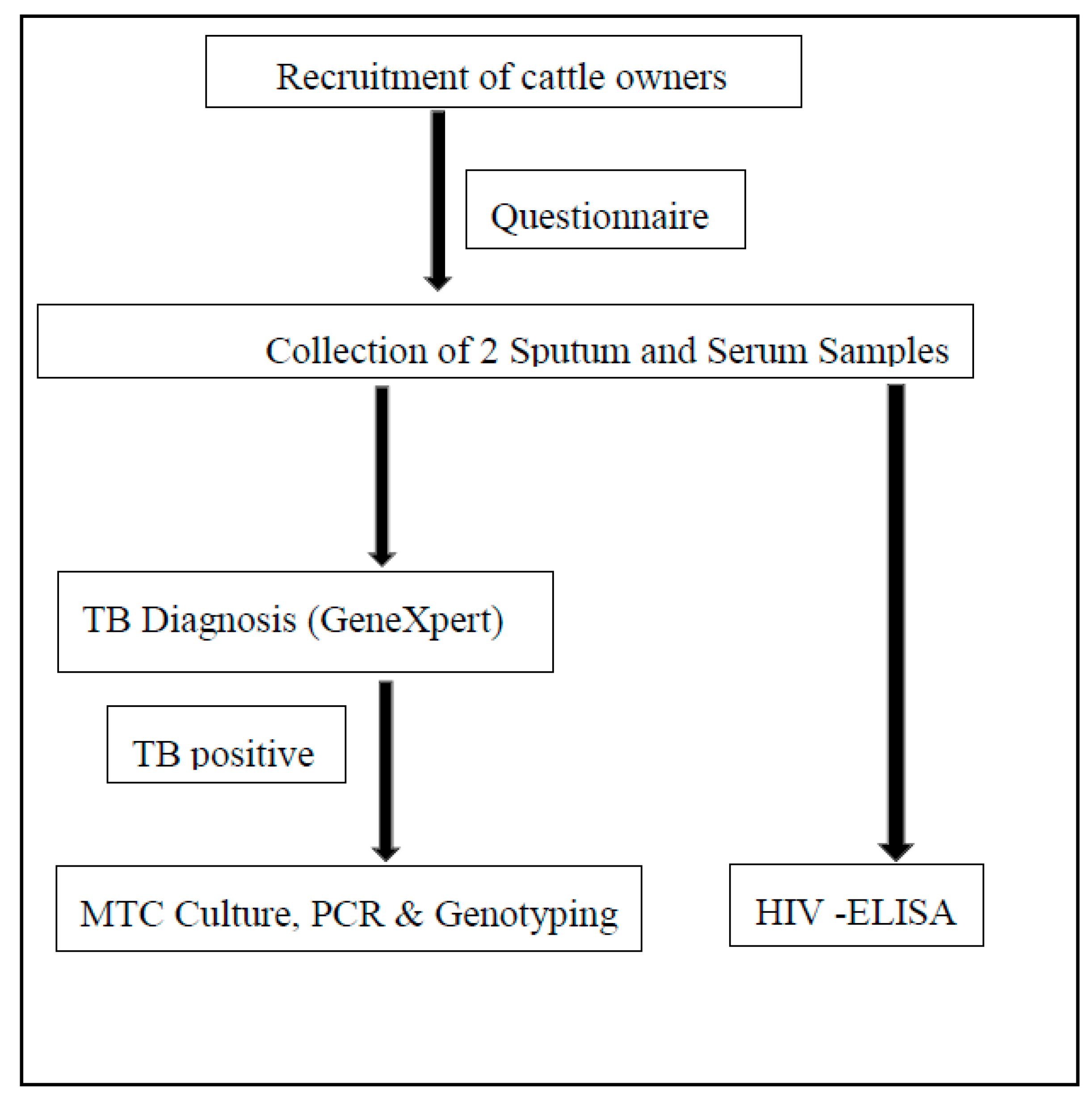 Pathogens 08 00101 g002 Pathogens 08 00101 g002