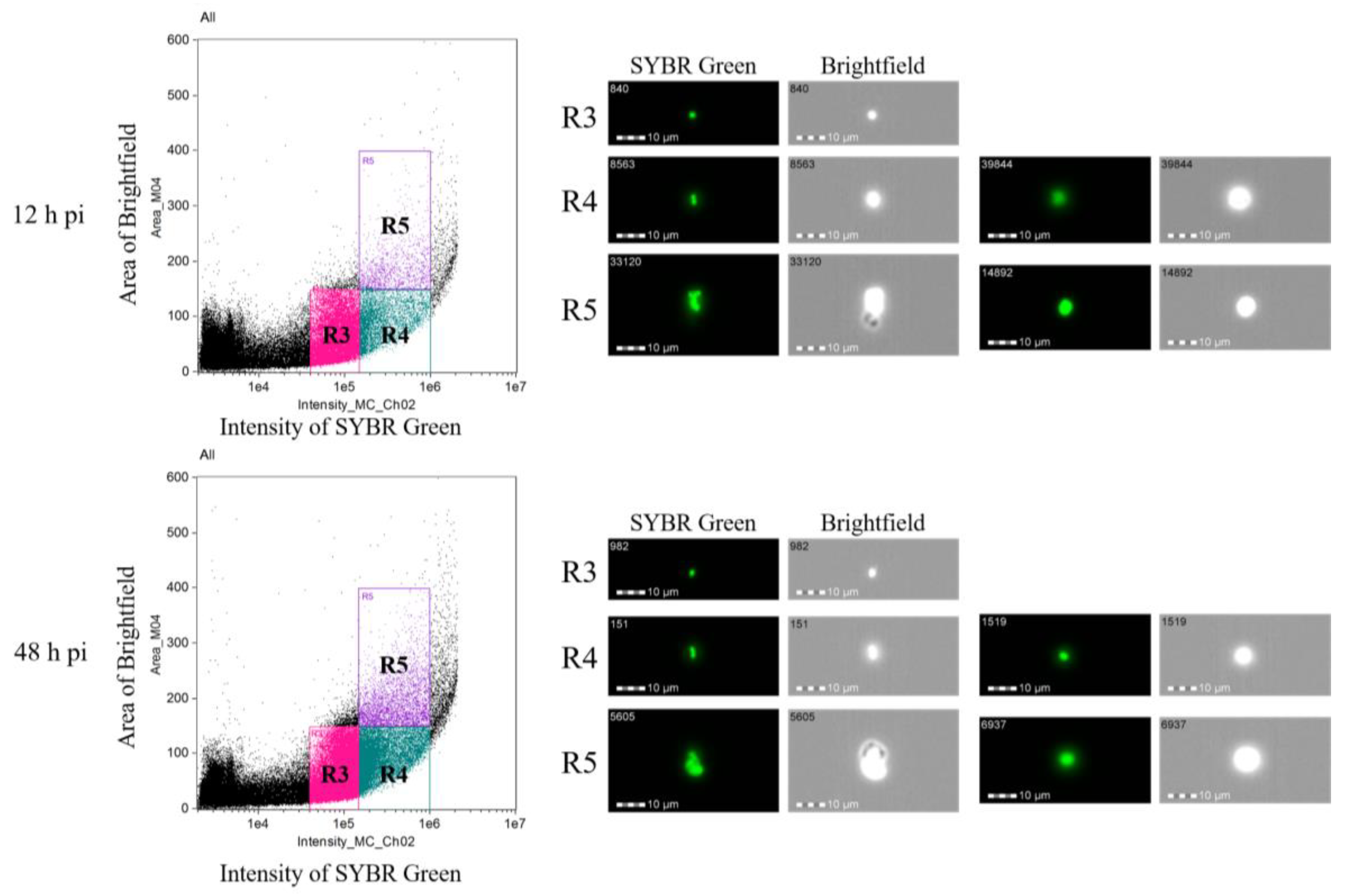 Pathogens 08 00104 g005 550