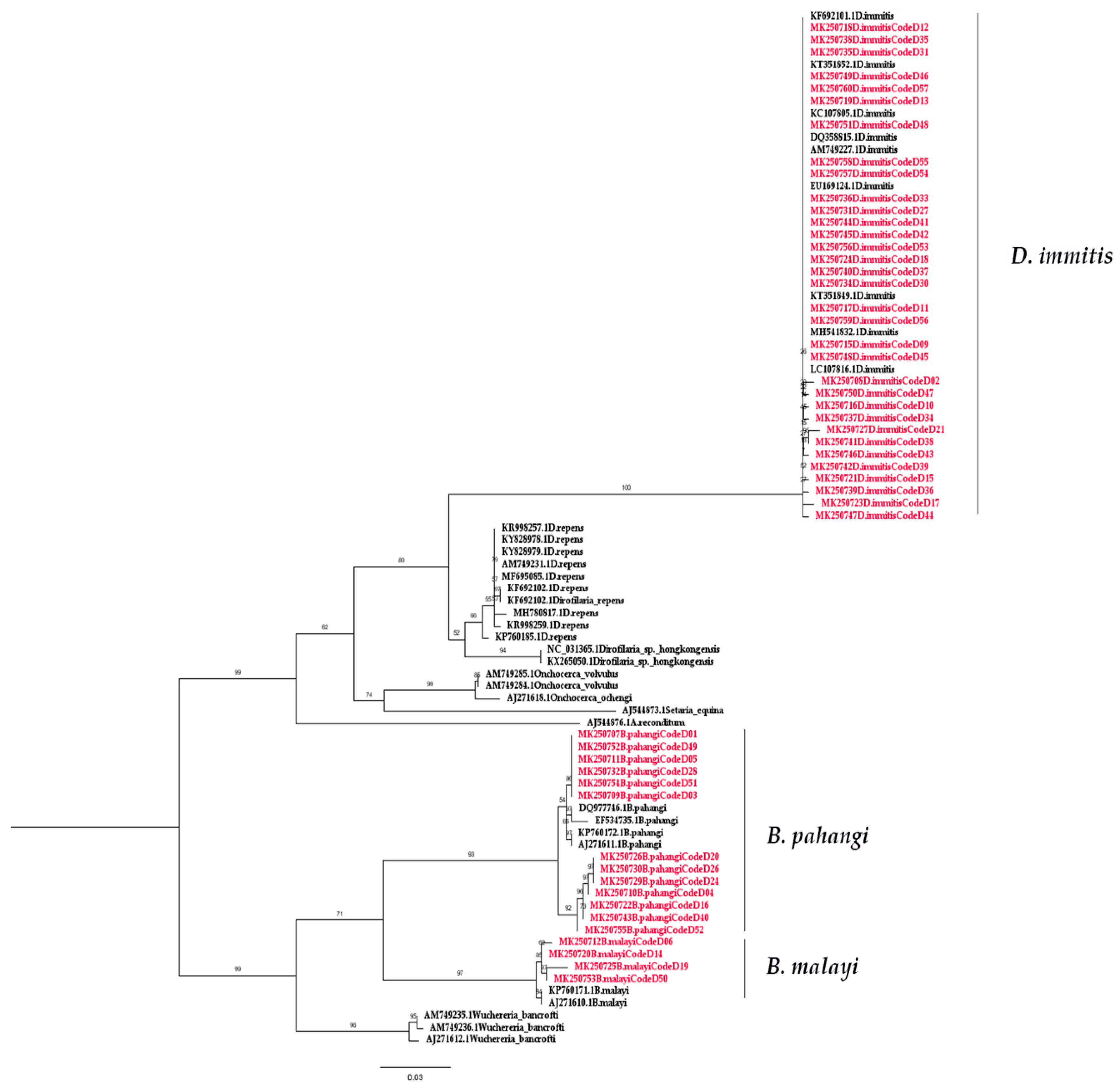 Pathogens 08 00114 g002