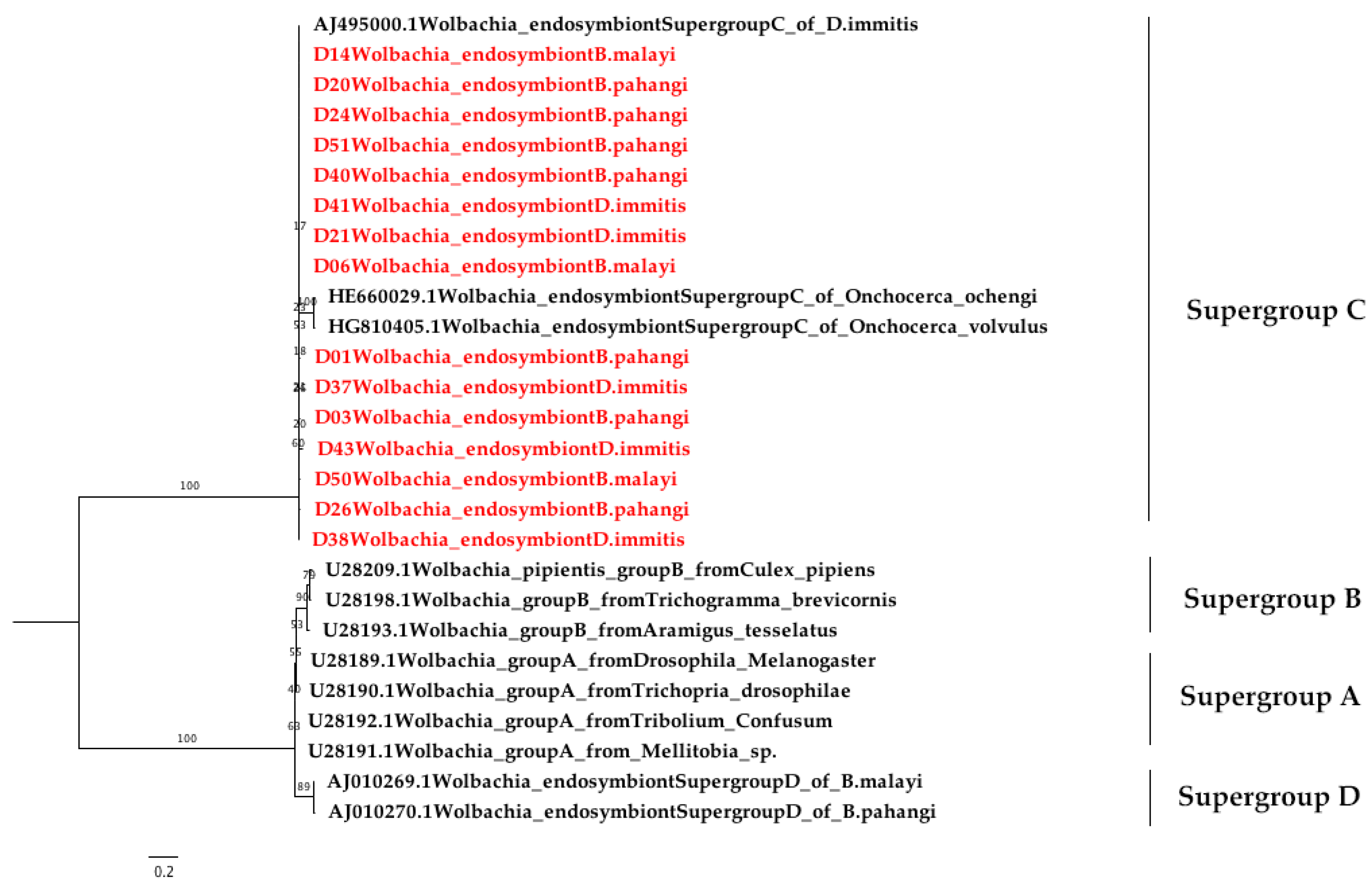 Pathogens 08 00114 g004