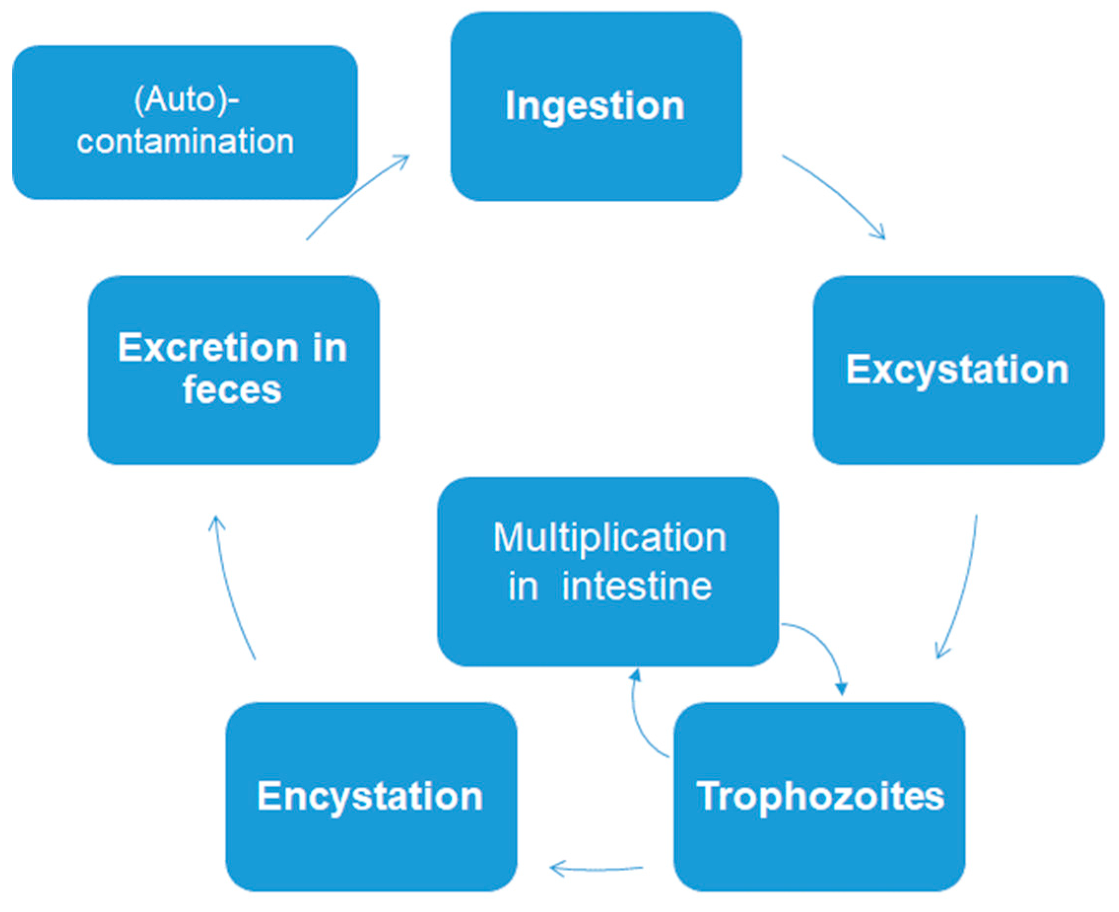 Protozoa giardia in humans, Immunkerülési stratégiák paraziták