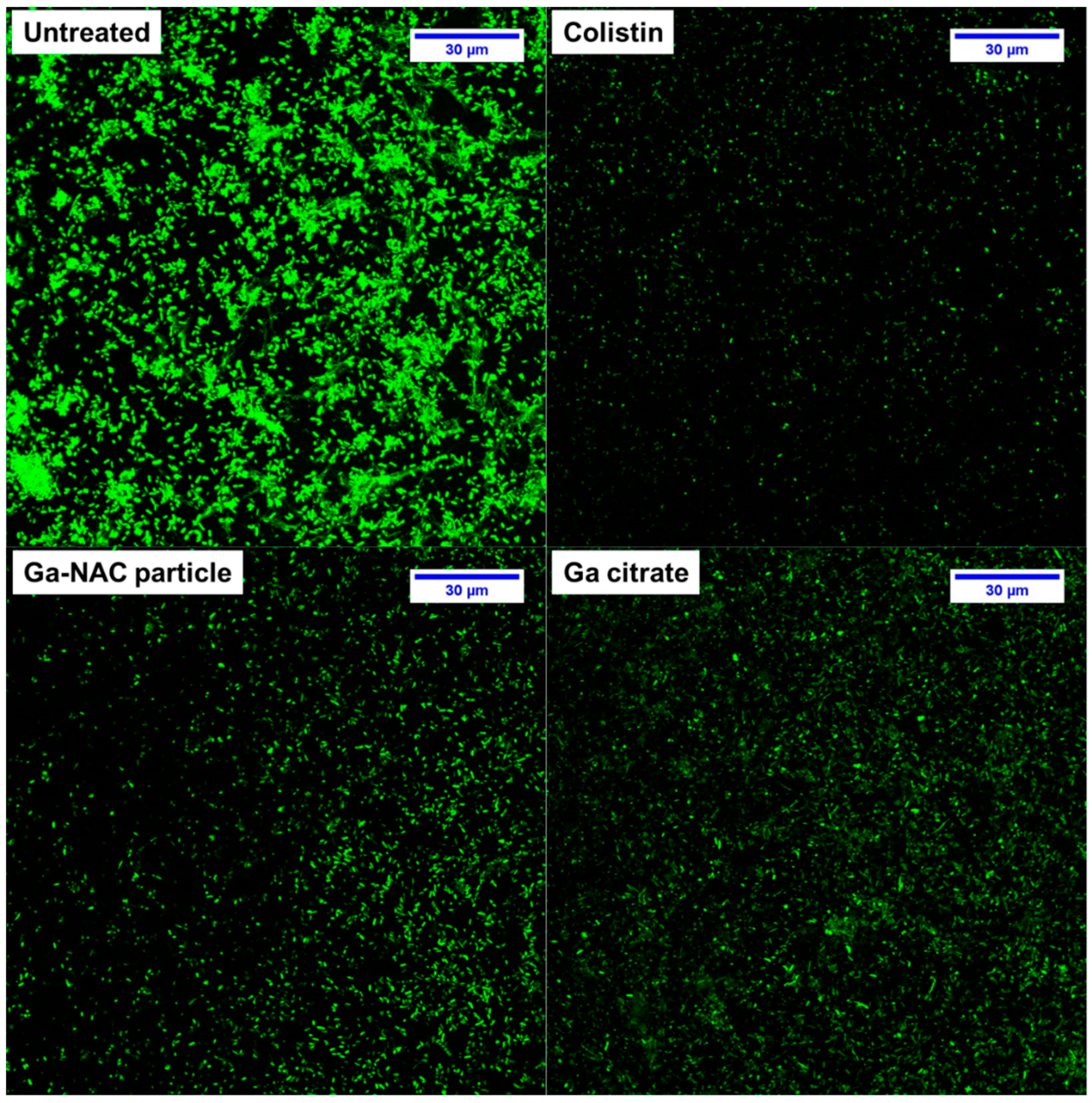 Pathogens 08 00120 g005 Pathogens 08 00120 g005