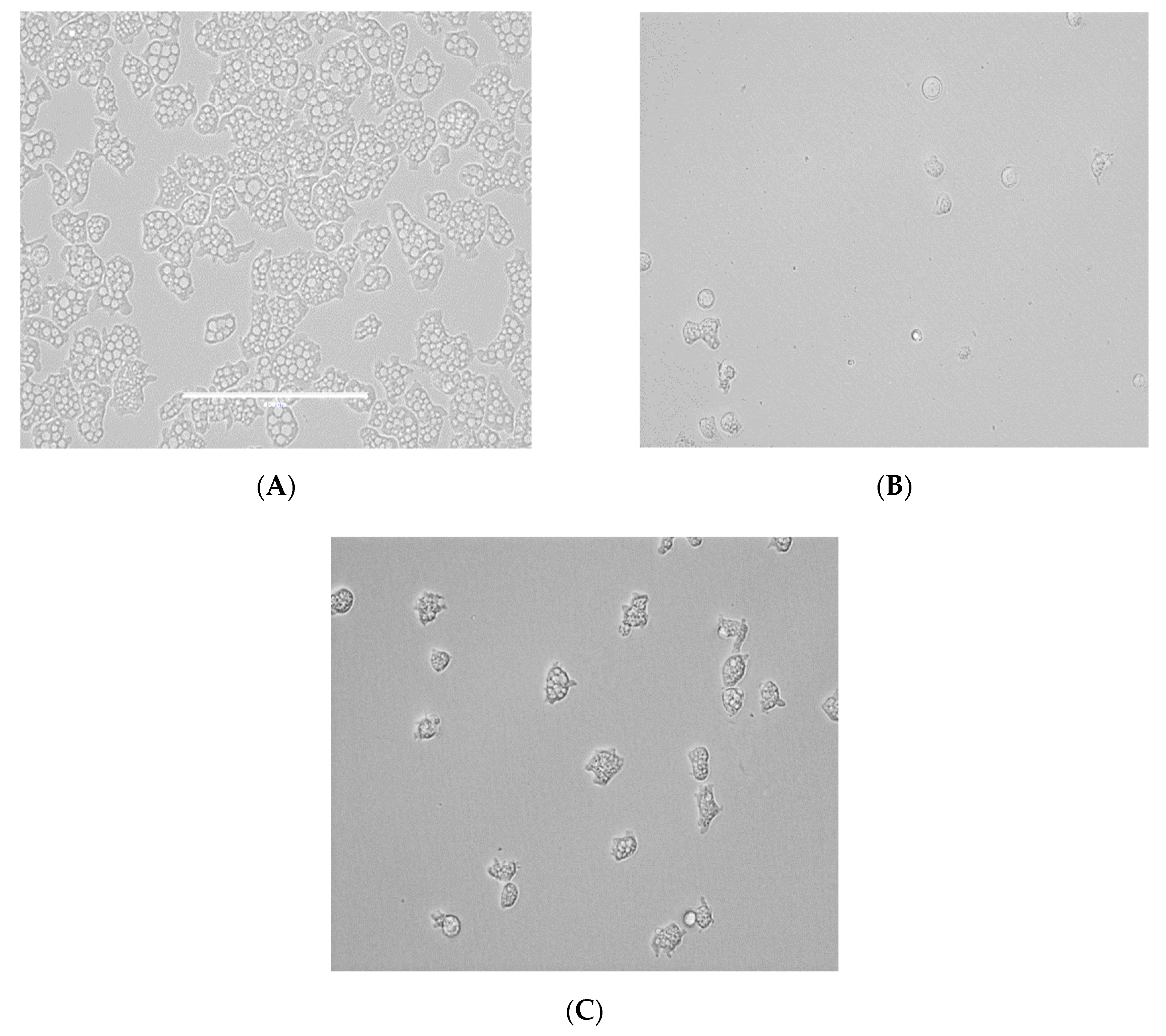 Pathogens 08 00122 g001