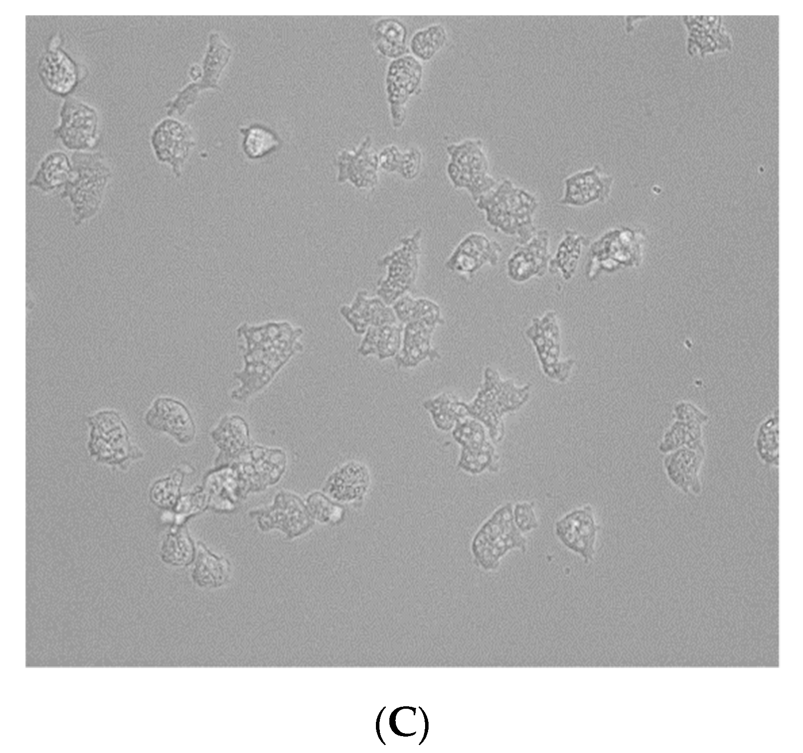 Pathogens 08 00122 g002b