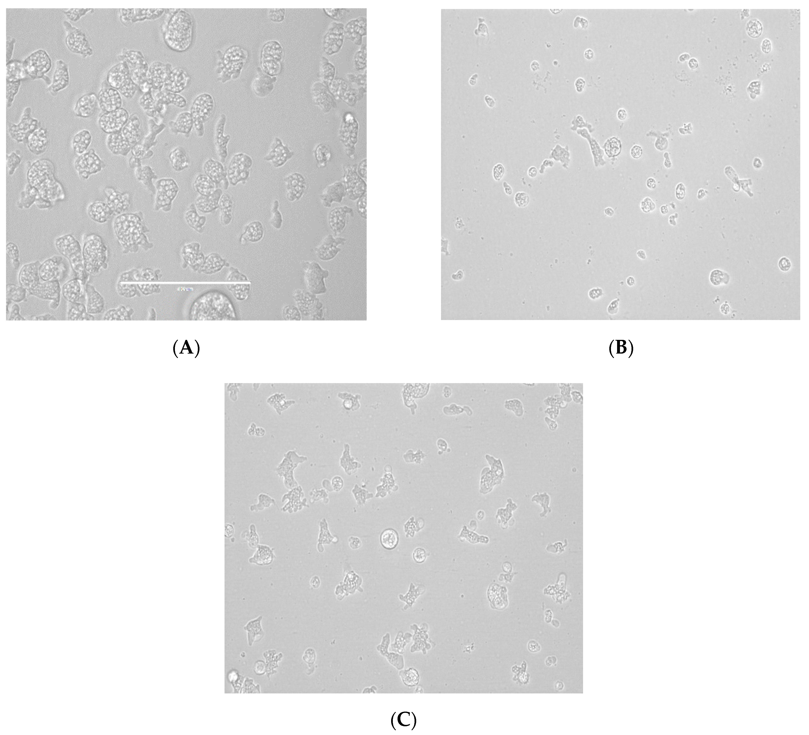 Pathogens 08 00122 g003