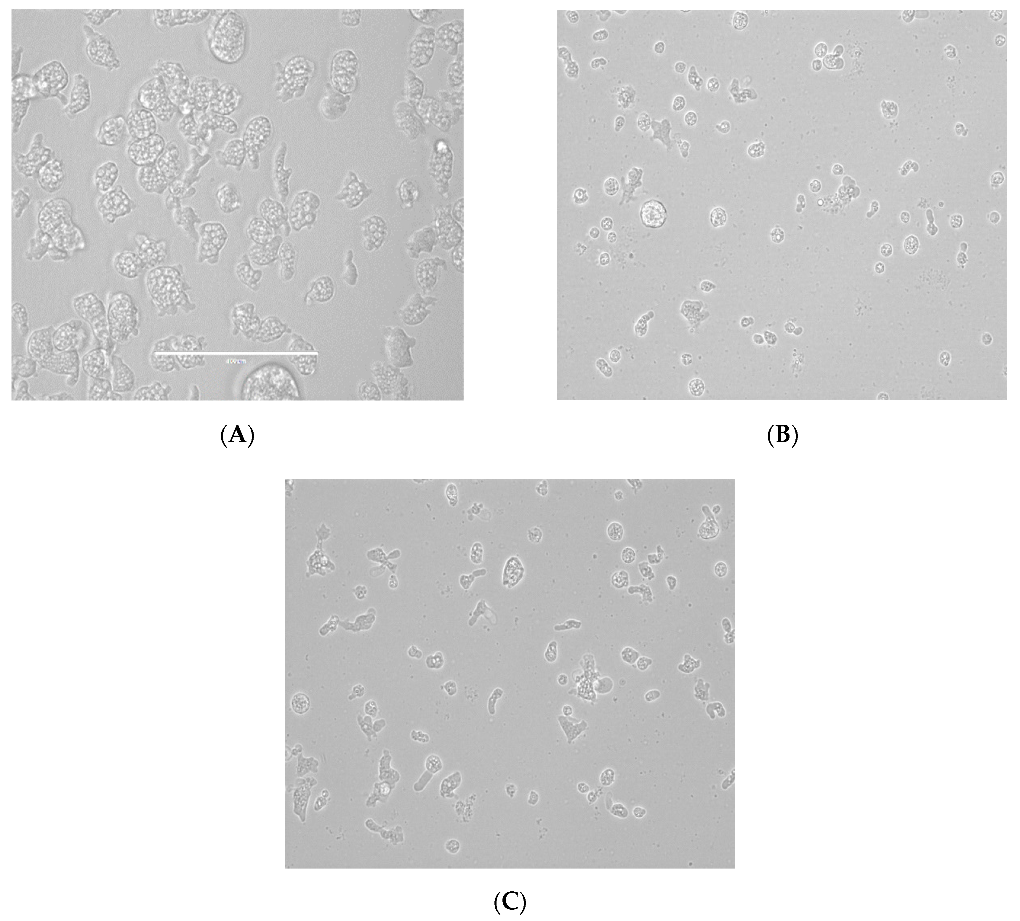 Pathogens 08 00122 g004