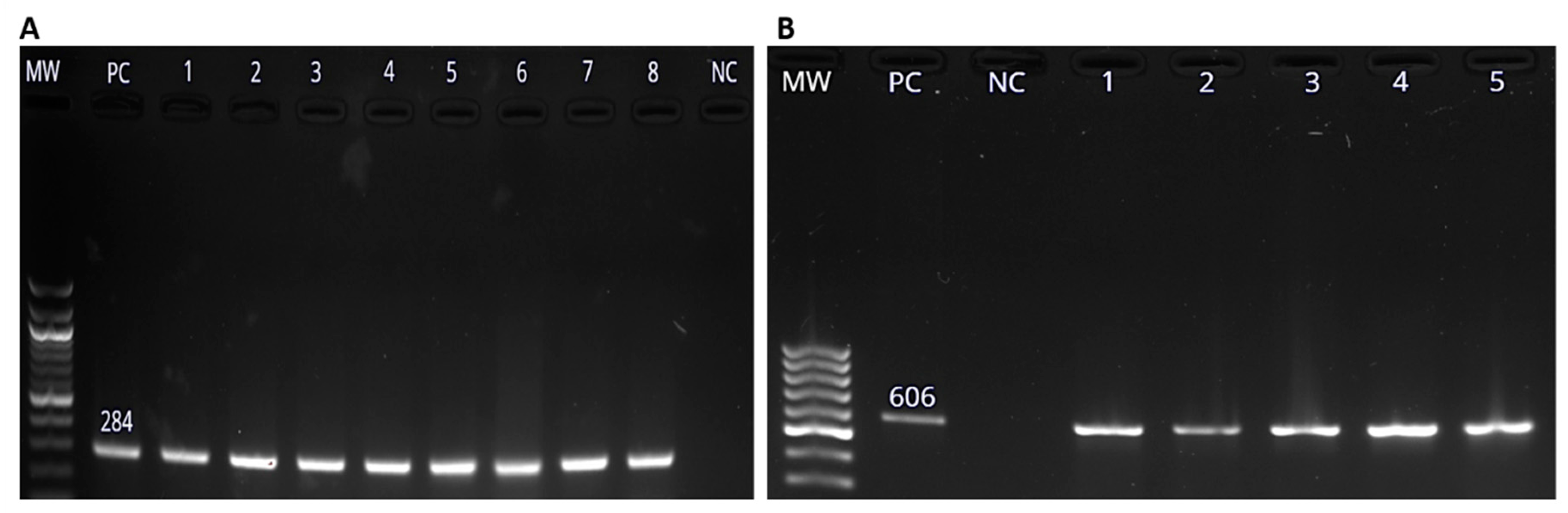 Pathogens 08 00124 g002 Pathogens 08 00124 g002