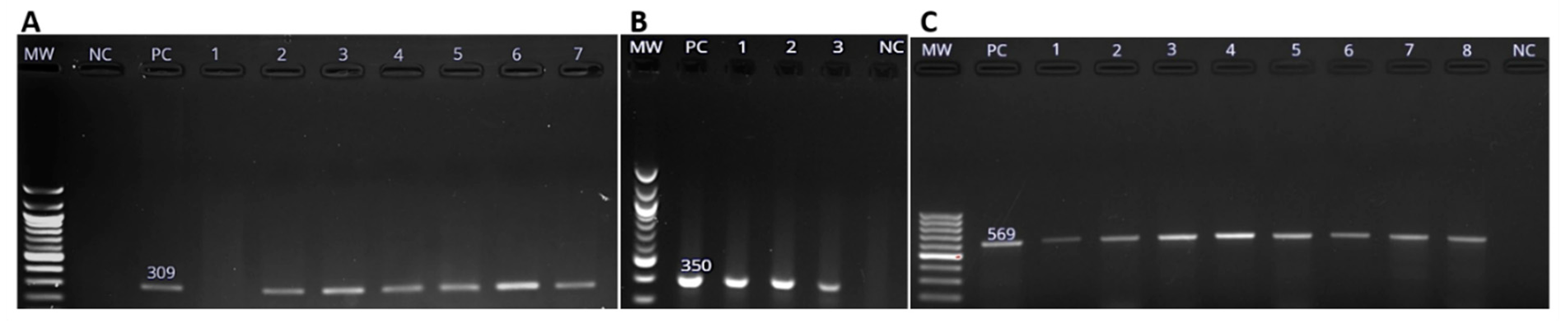 Pathogens 08 00124 g003 Pathogens 08 00124 g003