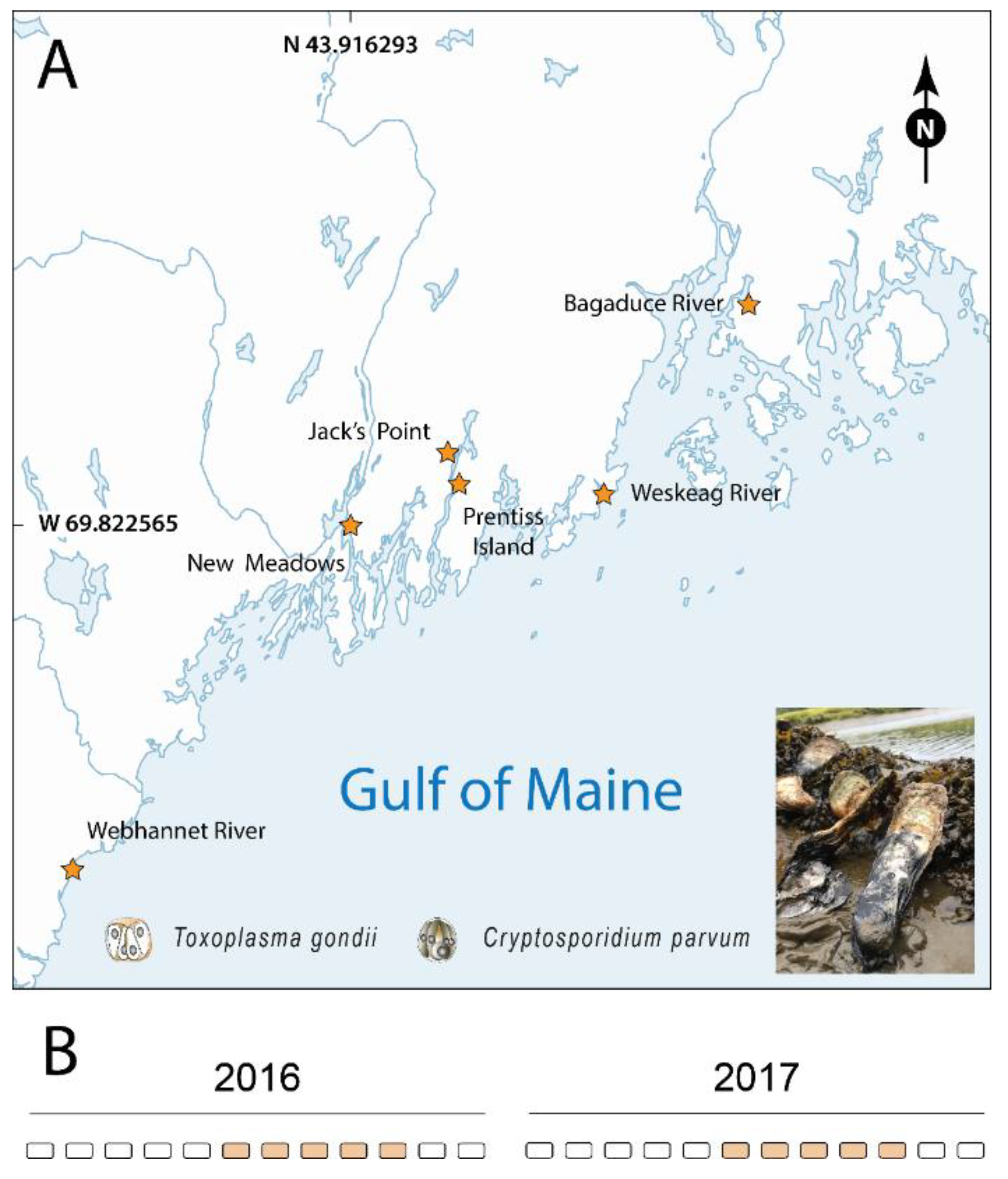 Pathogens 08 00125 g001 Pathogens 08 00125 g001