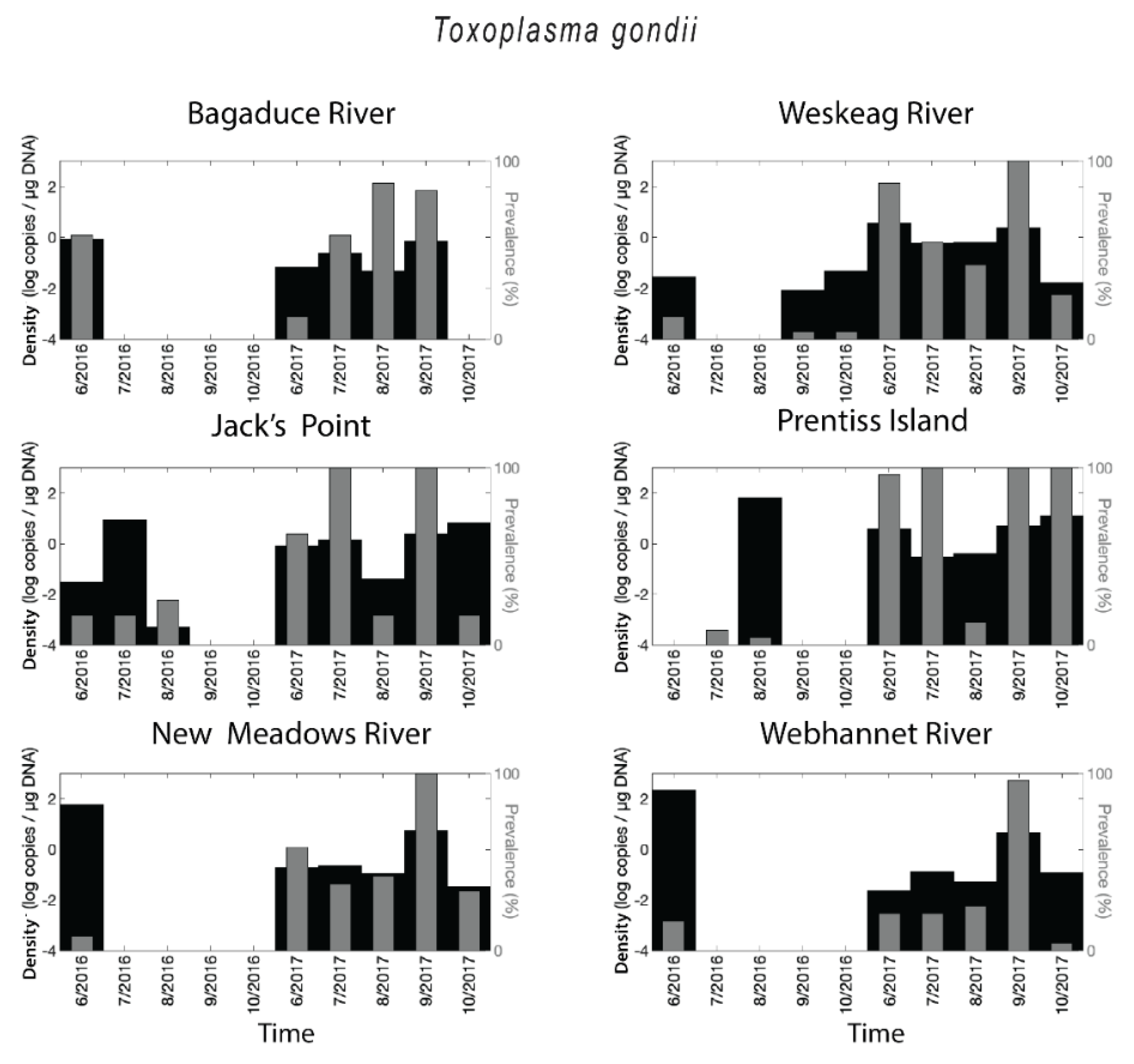 Toxoplasma gondii: A Cat Parasite in St. Lawrence Beluga Whales