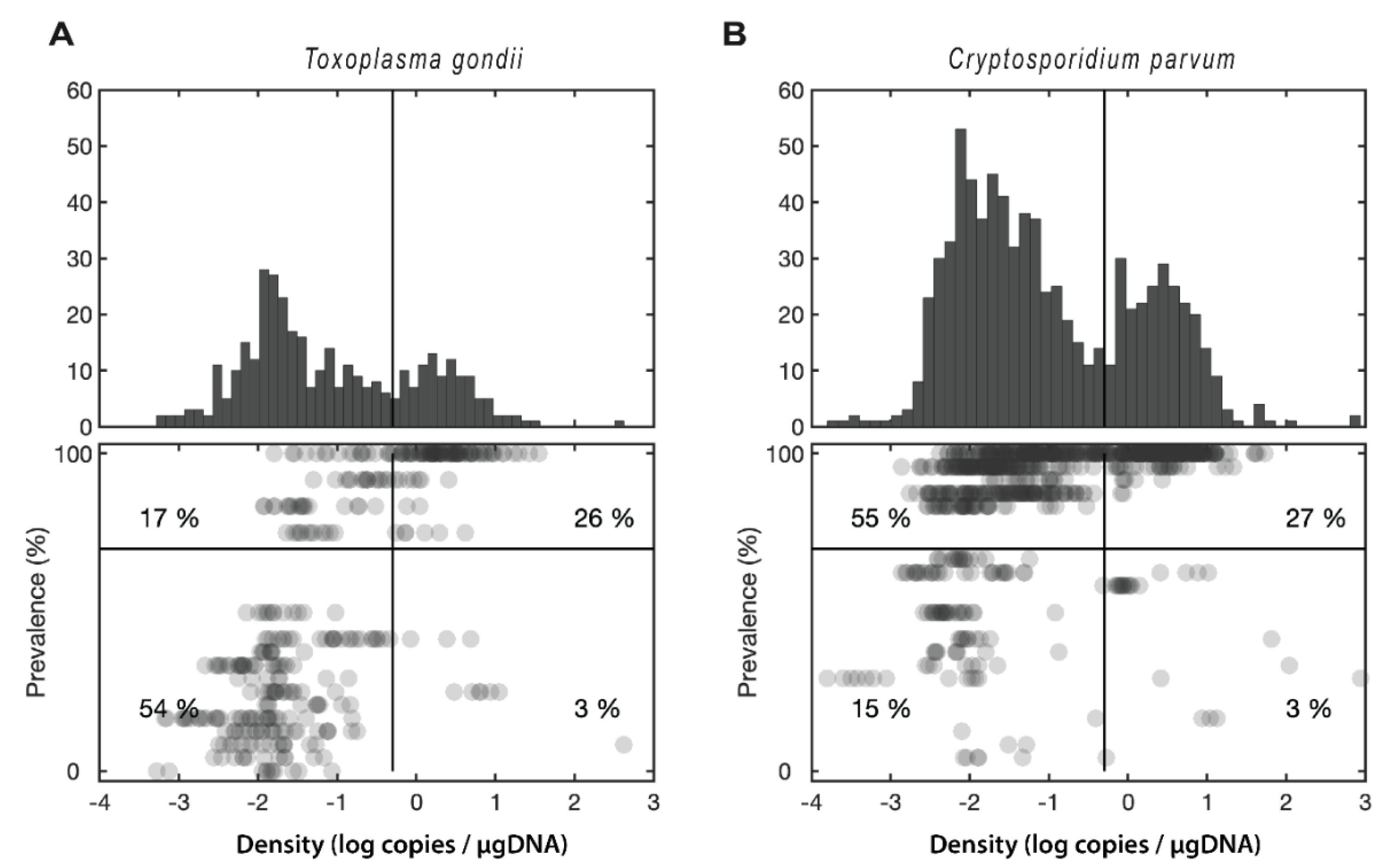 Toxoplasma gondii: A Cat Parasite in St. Lawrence Beluga Whales