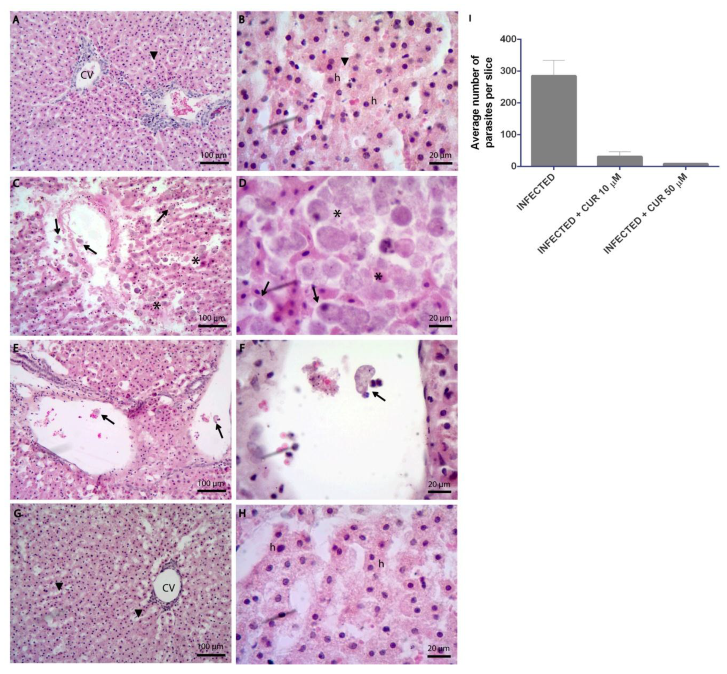 Pathogens 08 00127 g001 Pathogens 08 00127 g001