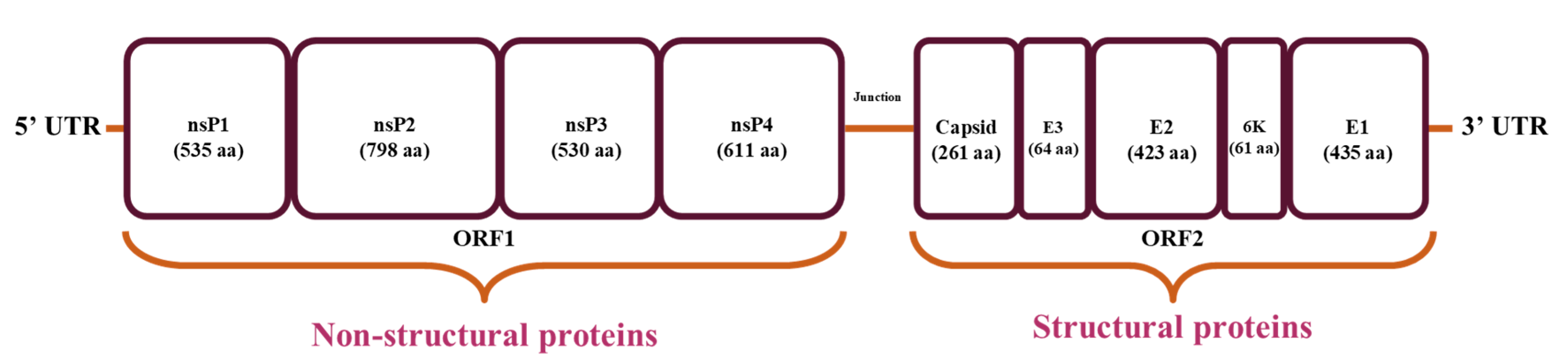 Pathogens 08 00128 g001