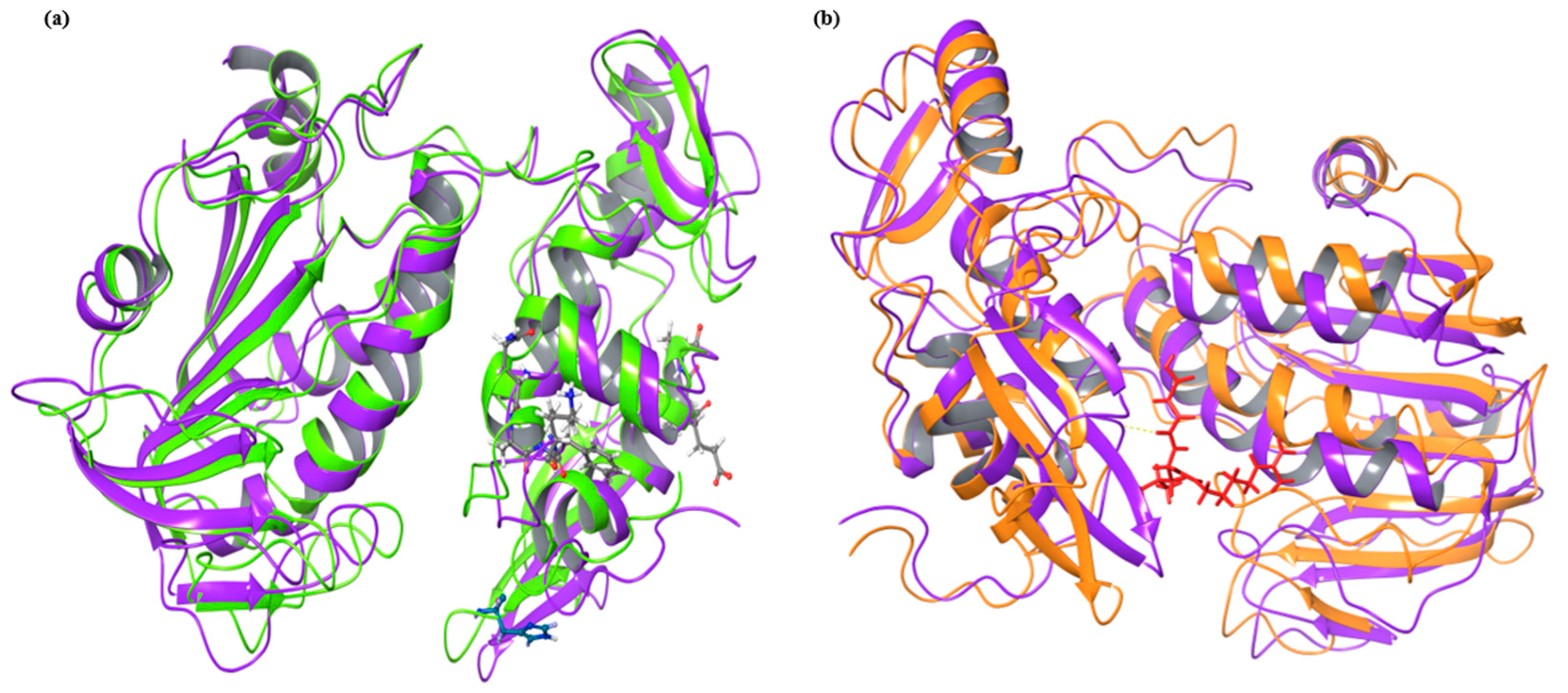 Pathogens 08 00128 g006