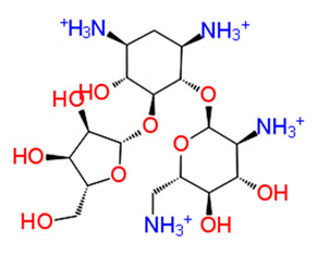 Pathogens 08 00128 i001 Pathogens 08 00128 i001